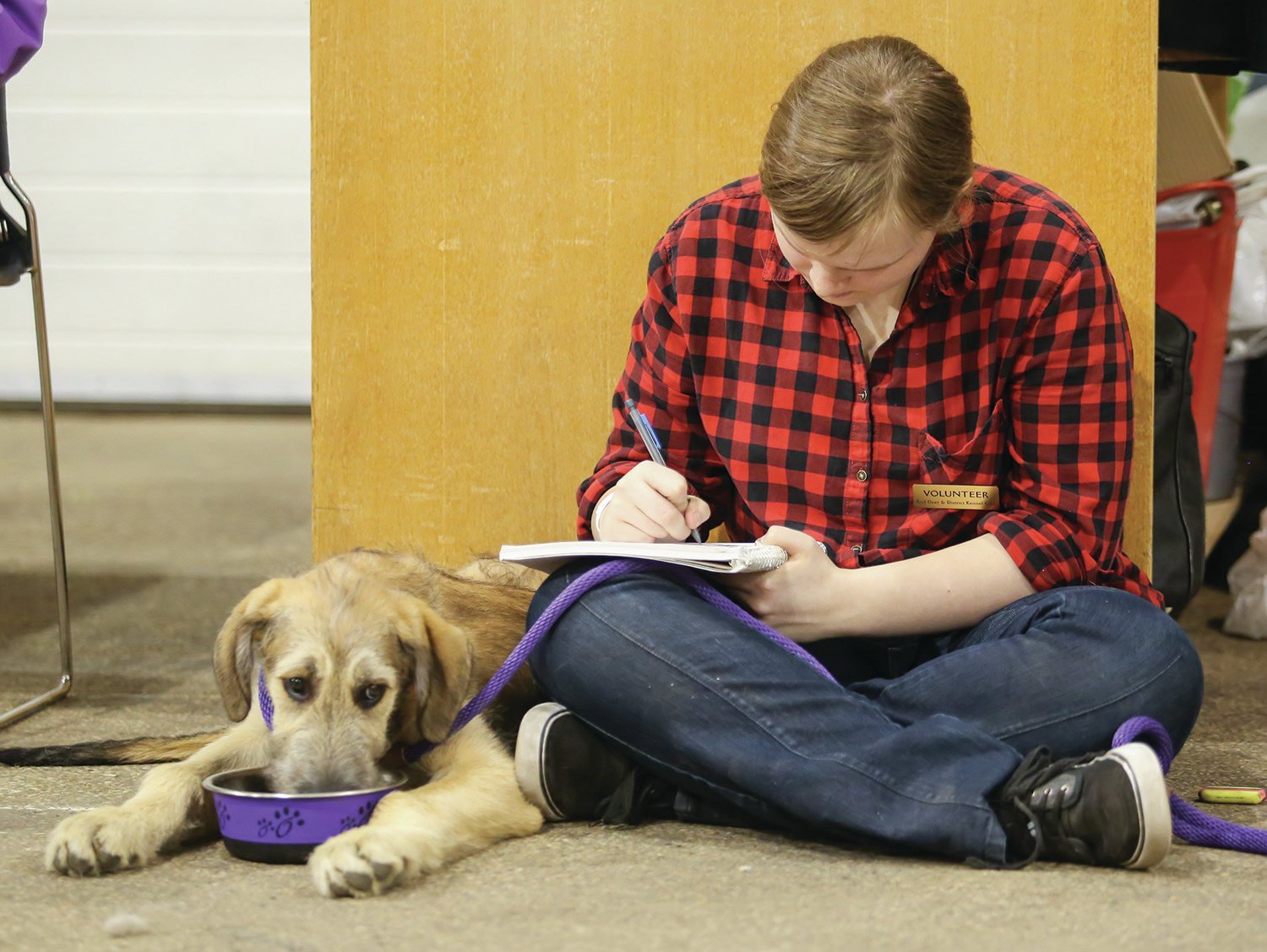 QUIET MOMENT - Volunteer Rachel Humphreys sat in a corner sketching with her dog Max during the Red Deer and District Kennel Club Spring Dog Show at Westerner Park on Saturday.