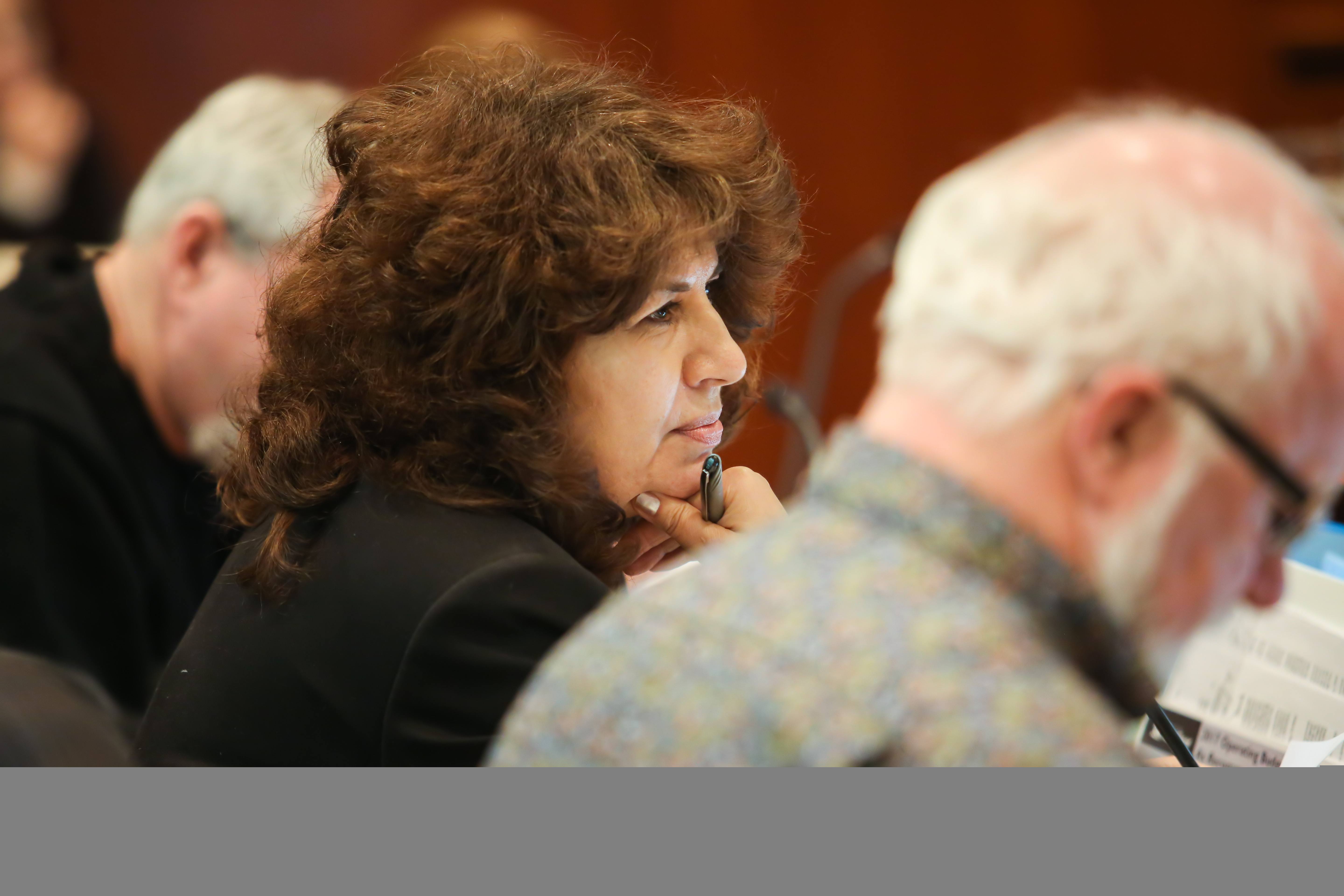 DISCUSSION - Councillor Dianne Wyntjes is pictured in Council Chambers during deliberations of the 2017 Operating Budget. Day three wrapped earlier today.