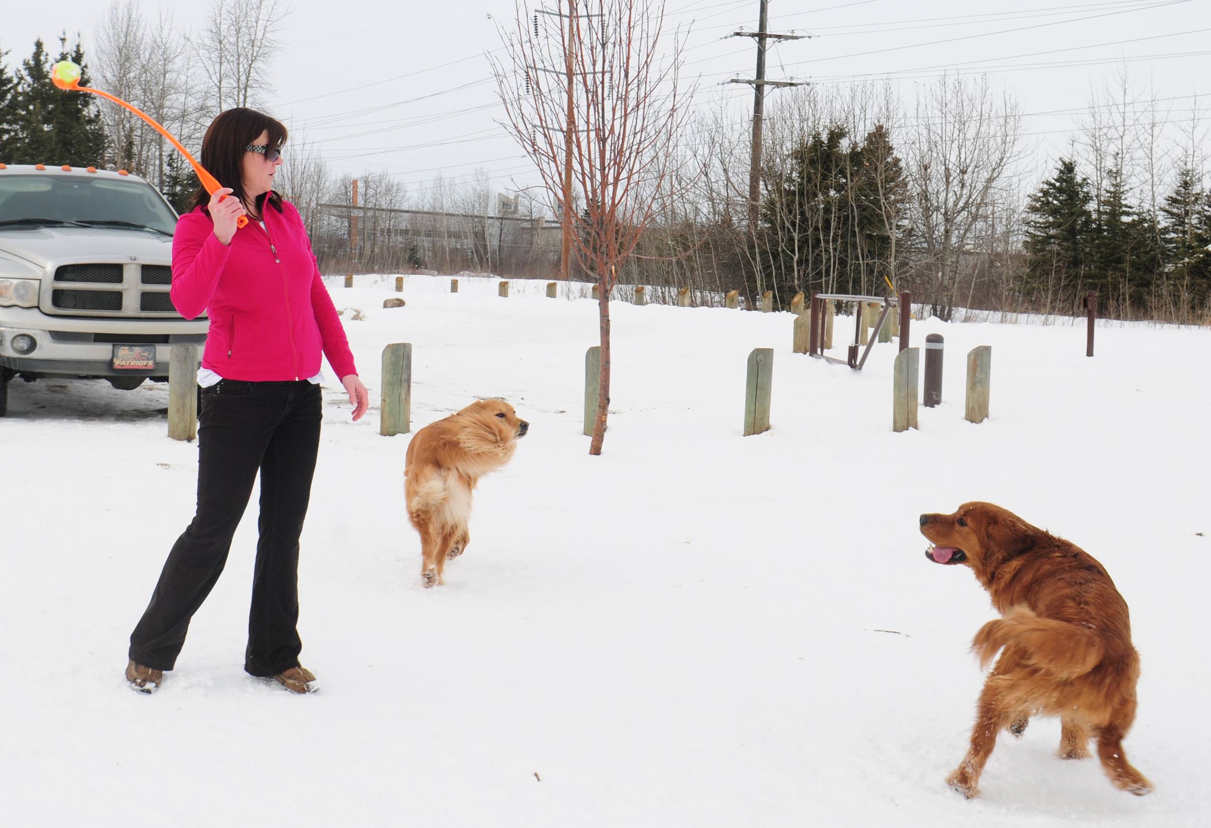 GET READY- Louise Toews winds up for a throw as Charlie gets ready to run after the ball during a fun afternoon recently at Three Mile Bend dog park in Red Deer.