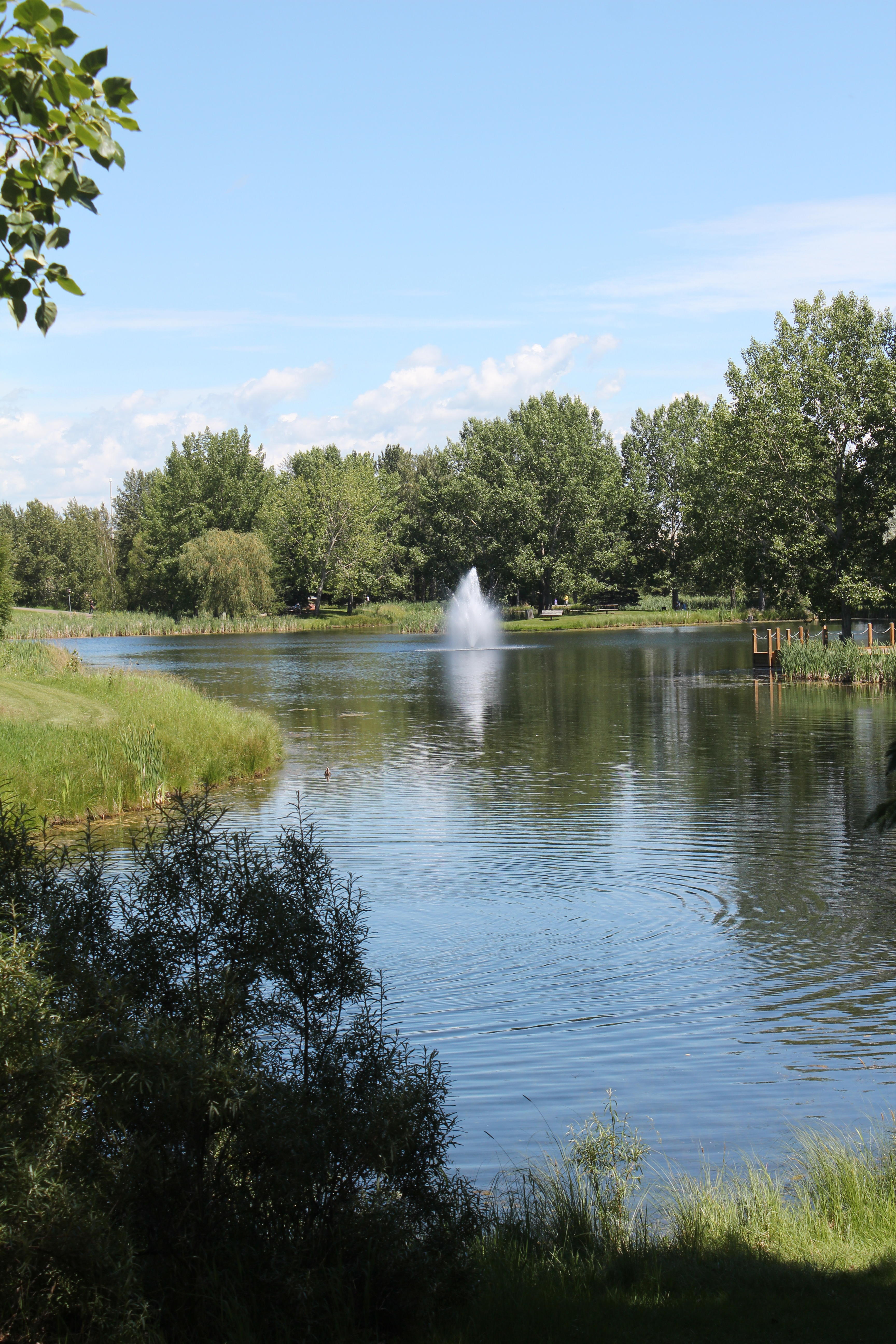 PEACEFUL POND- Bower Ponds is a great place to spend an afternoon and is the venue for Canada Day celebrations in Red Deer.