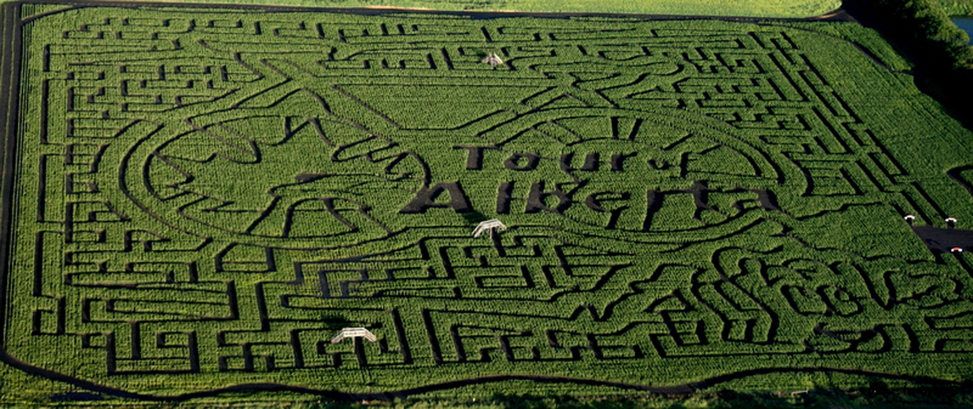 CORN-TASTIC - The Lacombe Corn Maze has been done in recognition of the Tour of Alberta which is set to take place next month. The second stage of the race will come through Red Deer on Sept. 5.