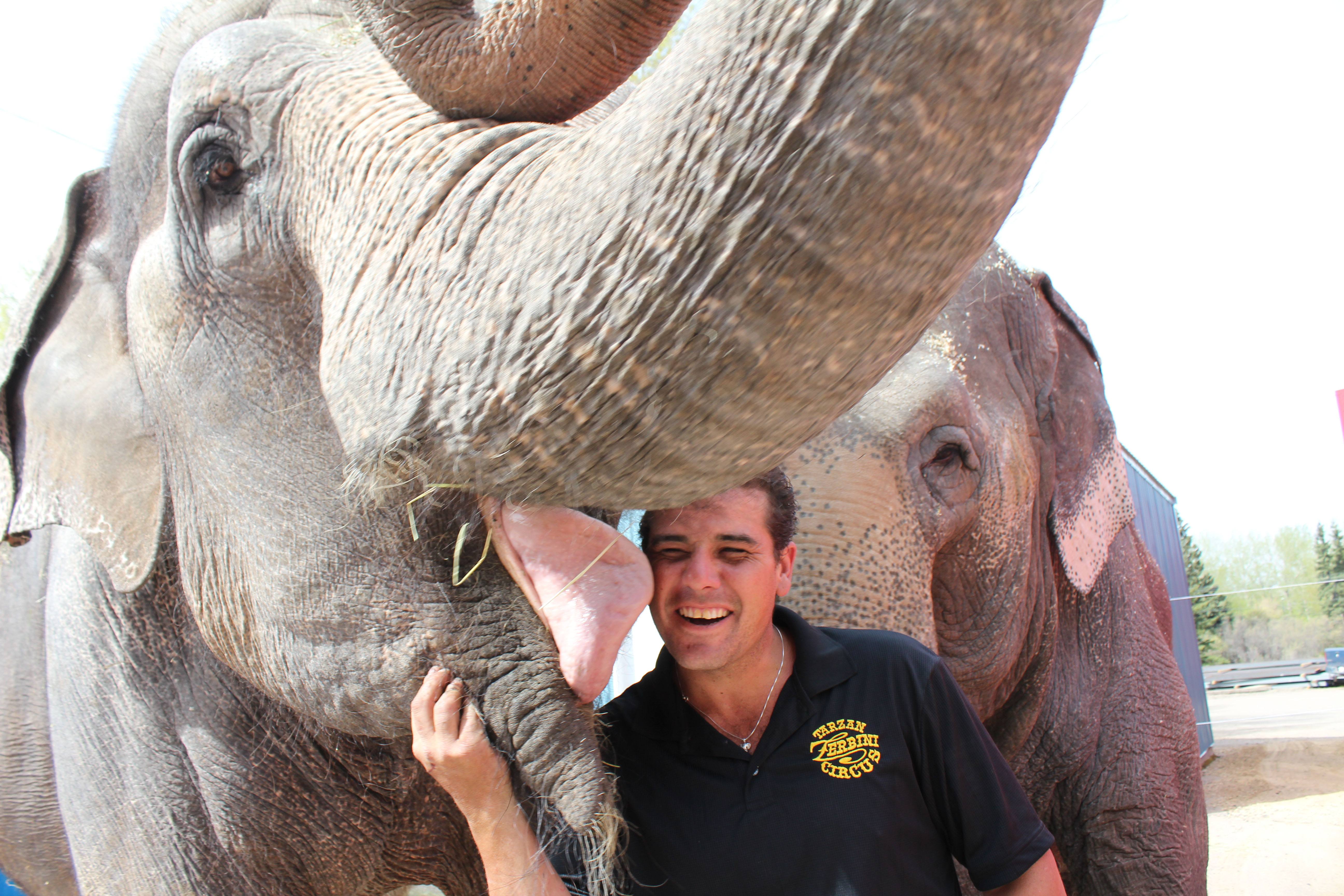 KISSES- Shelly the elephant gives trainer Dwane Brake a kiss while Marie watches. This trio was in Red Deer with the Royal Canadian Circus on Tuesday.