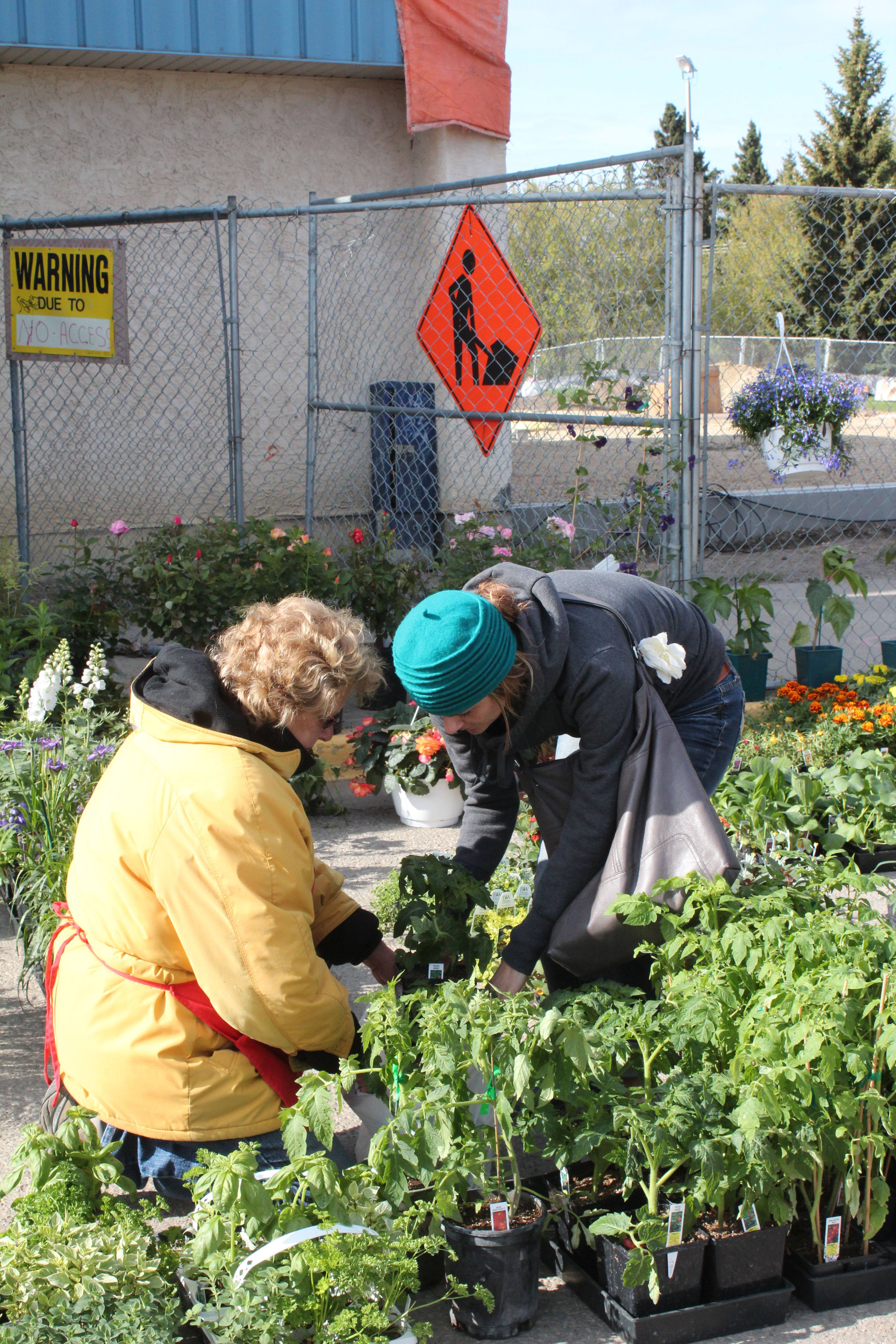 HELPING HAND- From left