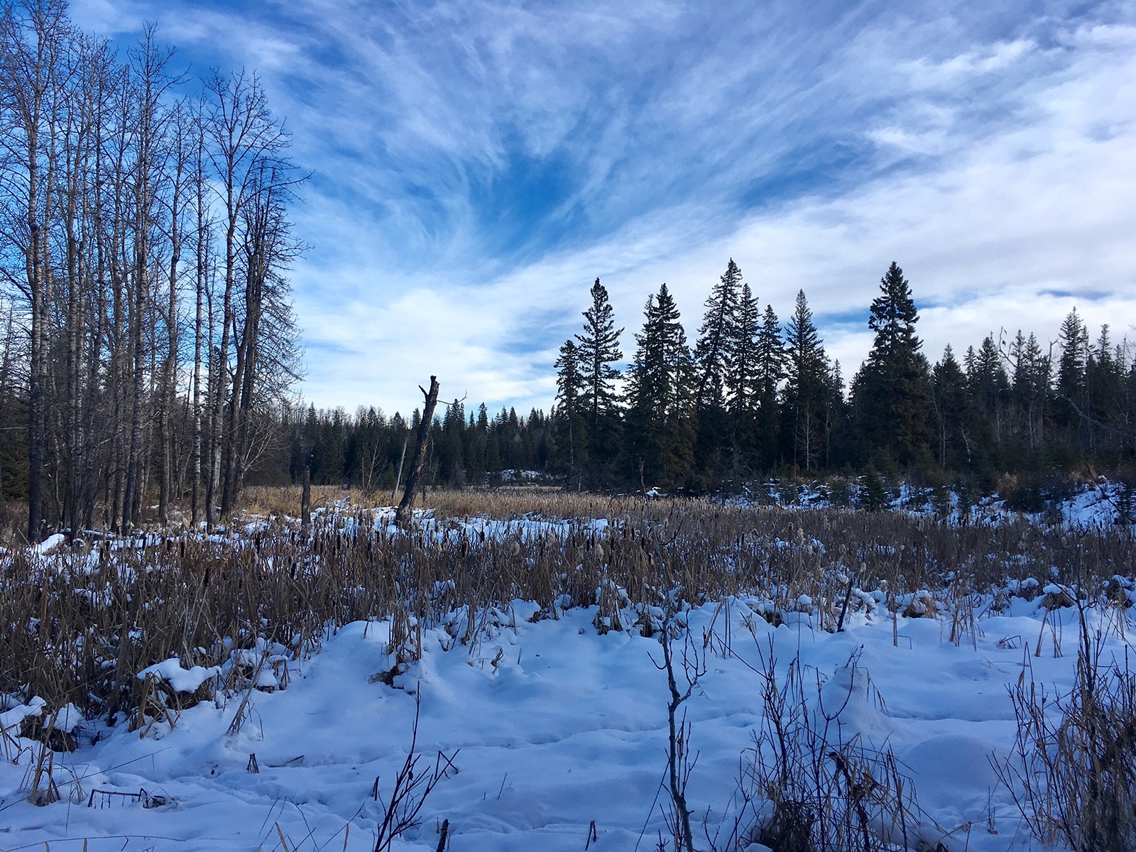 WINTER WALK - With warmer temperatures expected this week