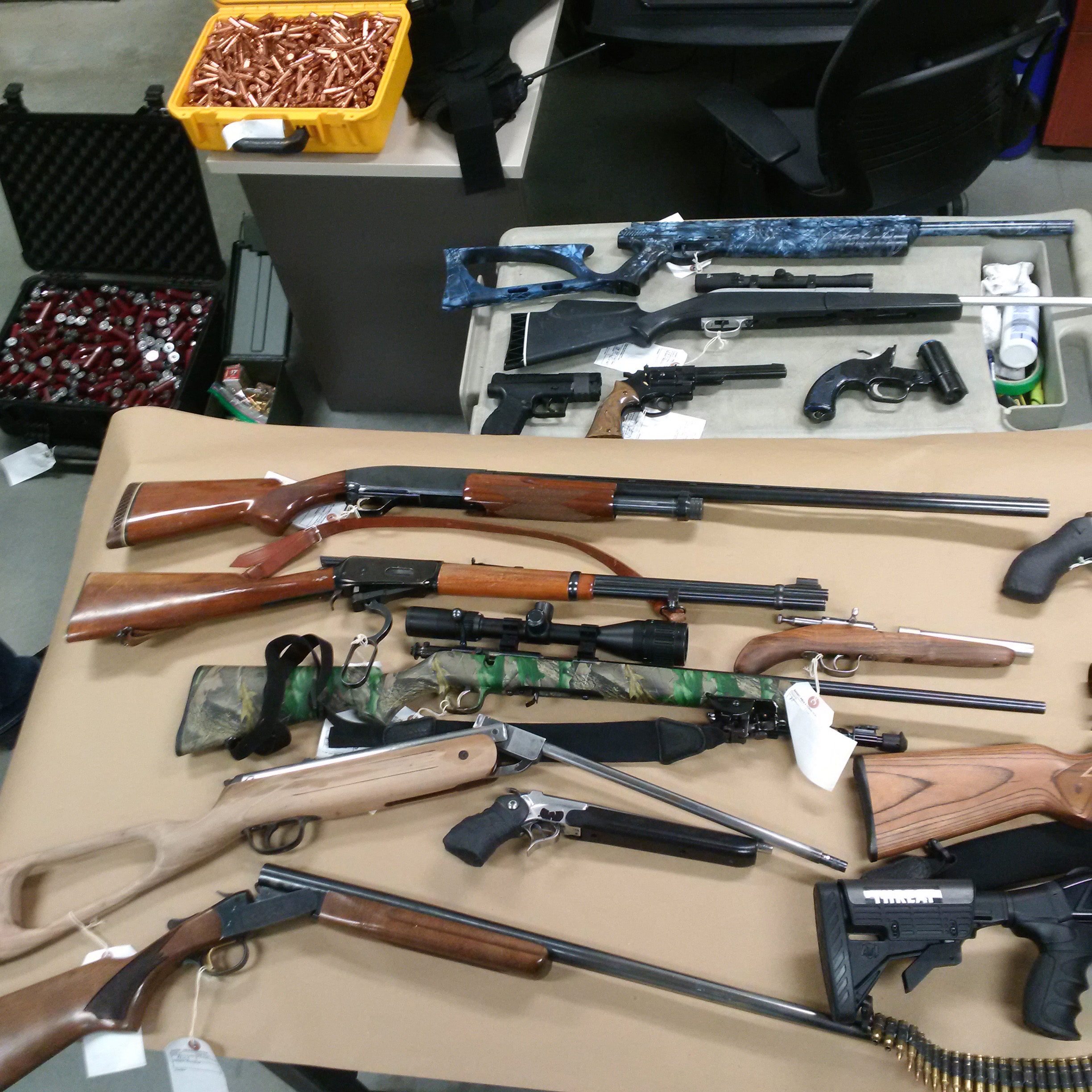 SEIZURE - Red Deer RCMP have seized 14 firearms and ammunition after they executed a search warrant at a residence in Normandeau.