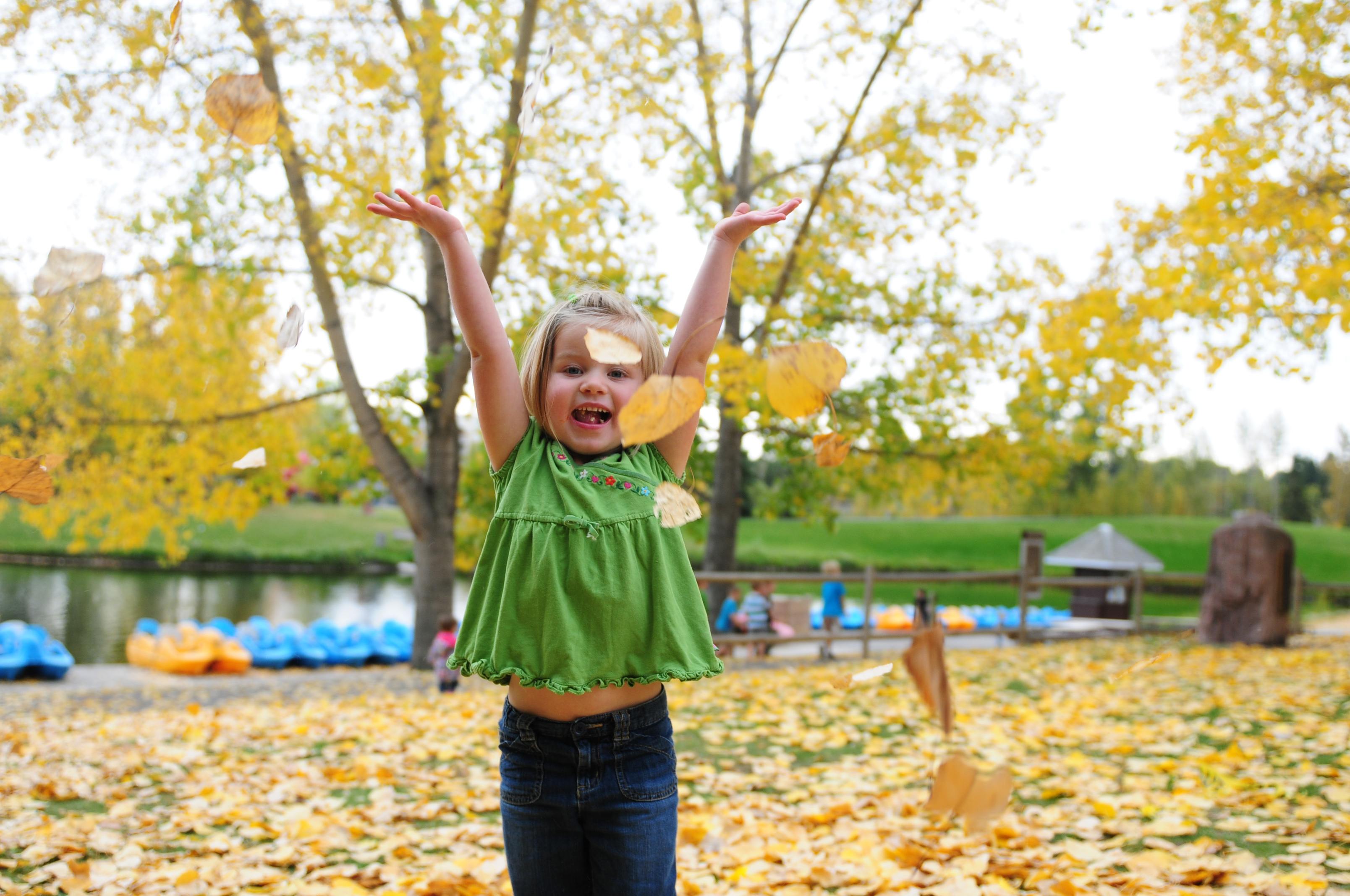 FALL GLORY- Sina Driedger