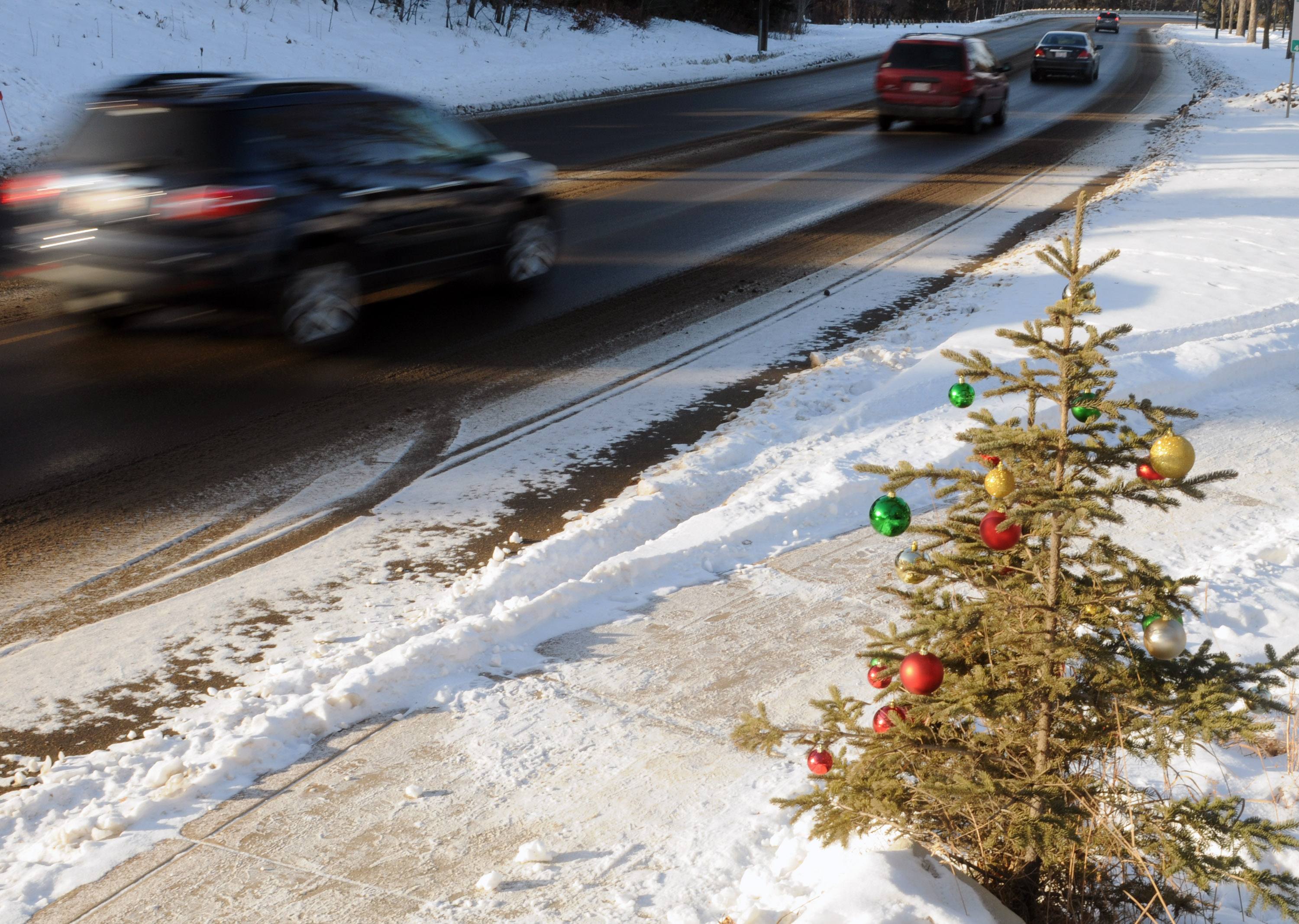 GREAT SPIRIT- The small volunteer spruce tree at the base of the wall on Spruce Drive was decorated recently.