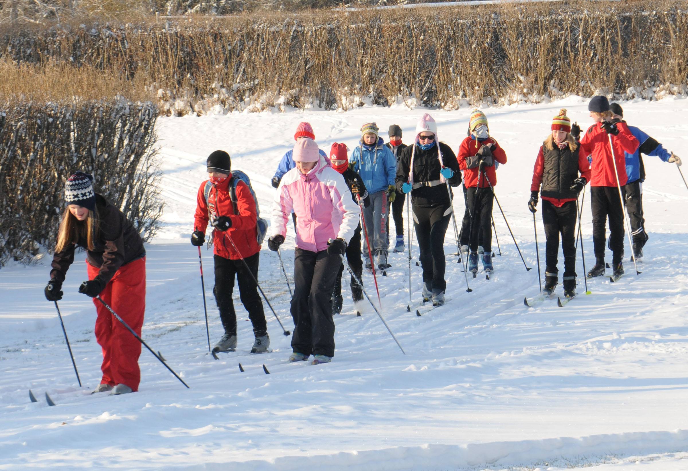 LOVING SNOW- Members of the Red Deer Nordic Ski Club took advantage of the early winter season at Bower Ponds Saturday morning to practice their cross country skiing skills as well as learn some new tricks from instructors.