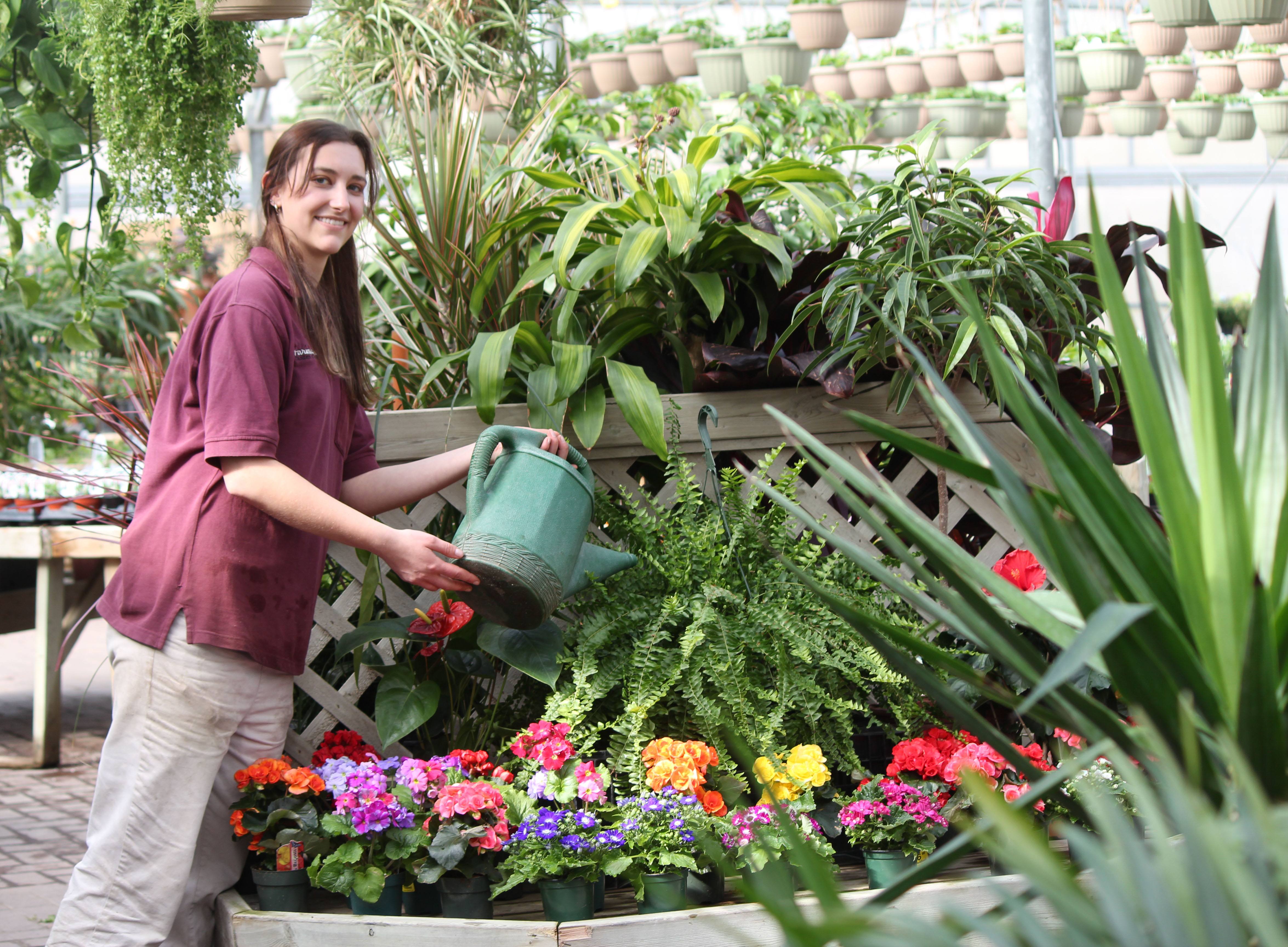 Jenny Thompson tends to the plants at Parkland Nurseries and Garden Centre in Red Deer on the first day of spring.