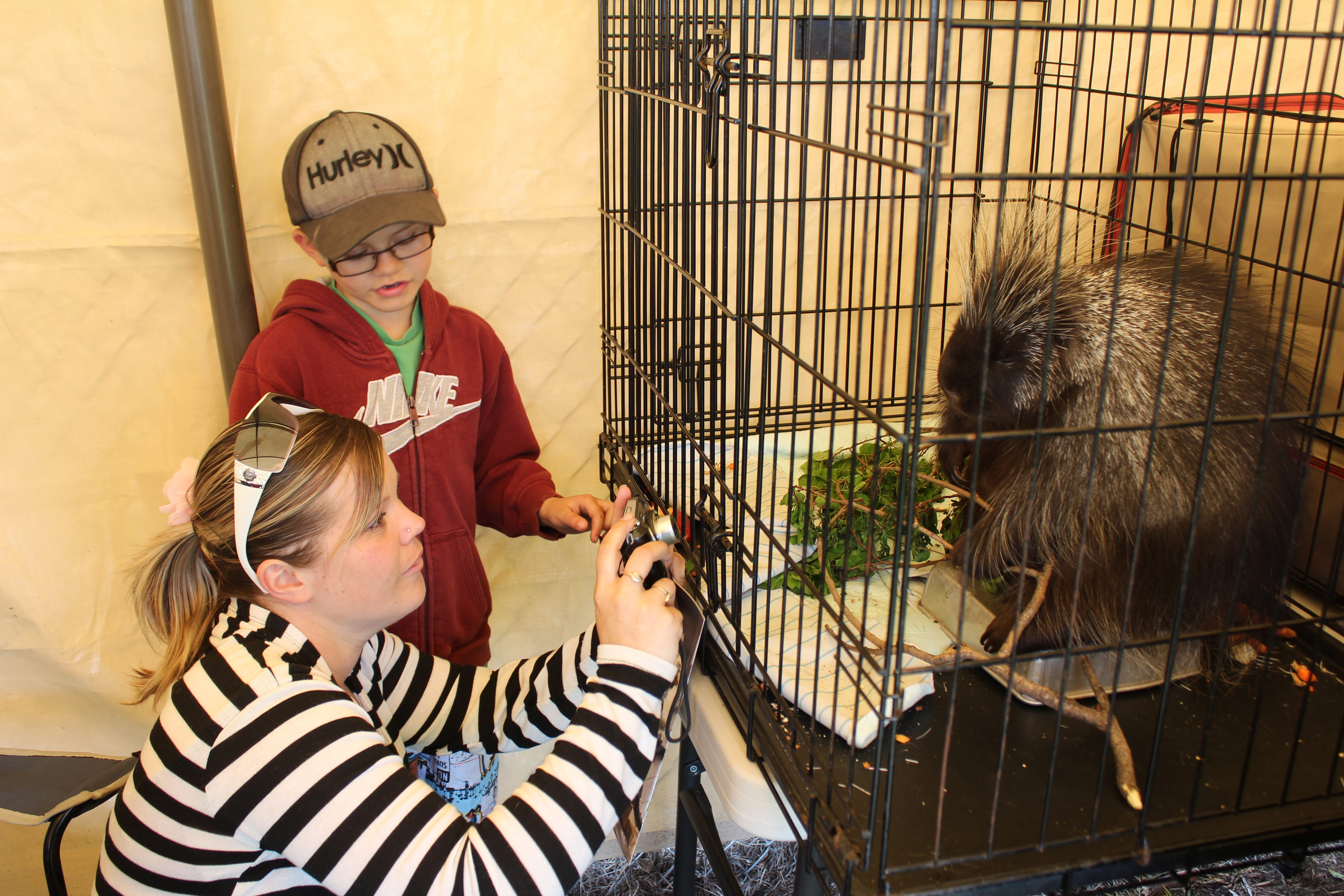 PORCUPINE POSE- Charlie the porcupine from Medicine River Wildlife Centre poses for Carrie Taylor and her son Daniel Graham