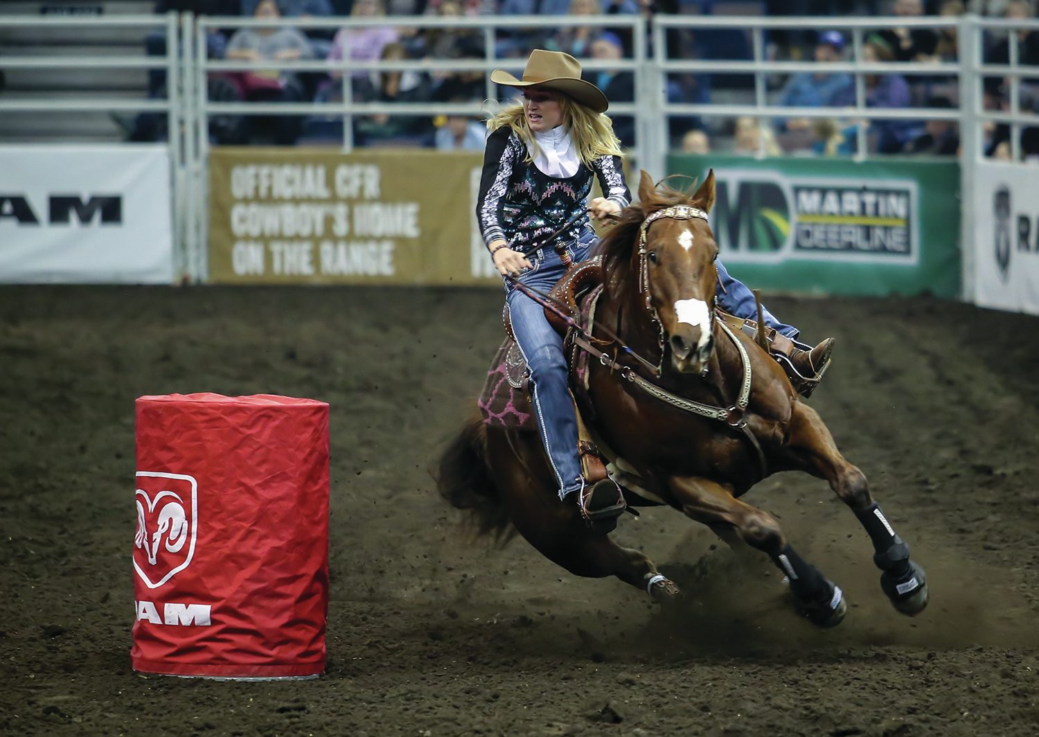 TEAMWORK - Sydney Daines of Red Deer and her horse