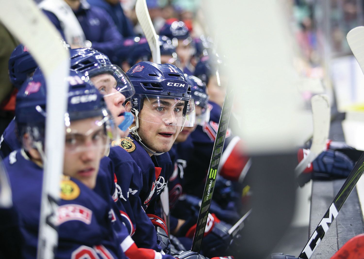 HOMECOMING - Jeff de Wit of the Regina Pats surveyed the ice during a Western Hockey League regular season game against the Red Deer Rebels at the ENMAX Centrium last weekend. It was the first time the former Rebel has faced off against his old squad since being traded in January.