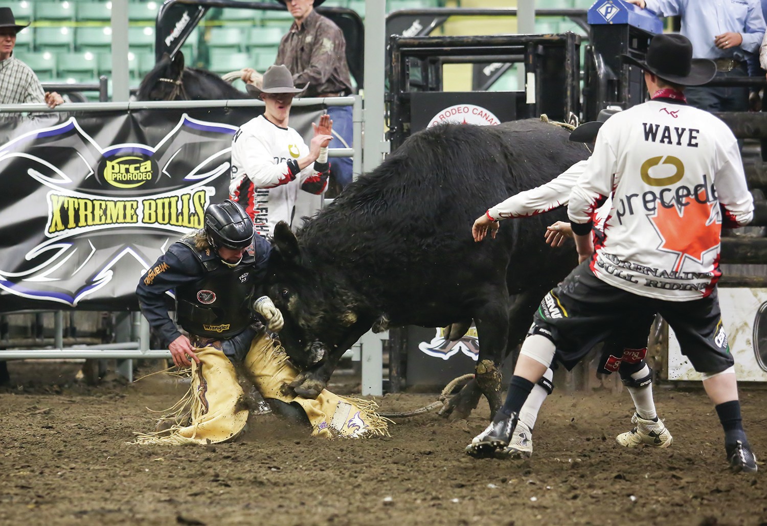 CLOSE CALL - Bull rider Ty Pankewitz got up close and personal with Crooked Nose from Wayne Vold Rodeo Co. during the Xtreme Bulls Event at the ENMAX Centrium on Saturday.