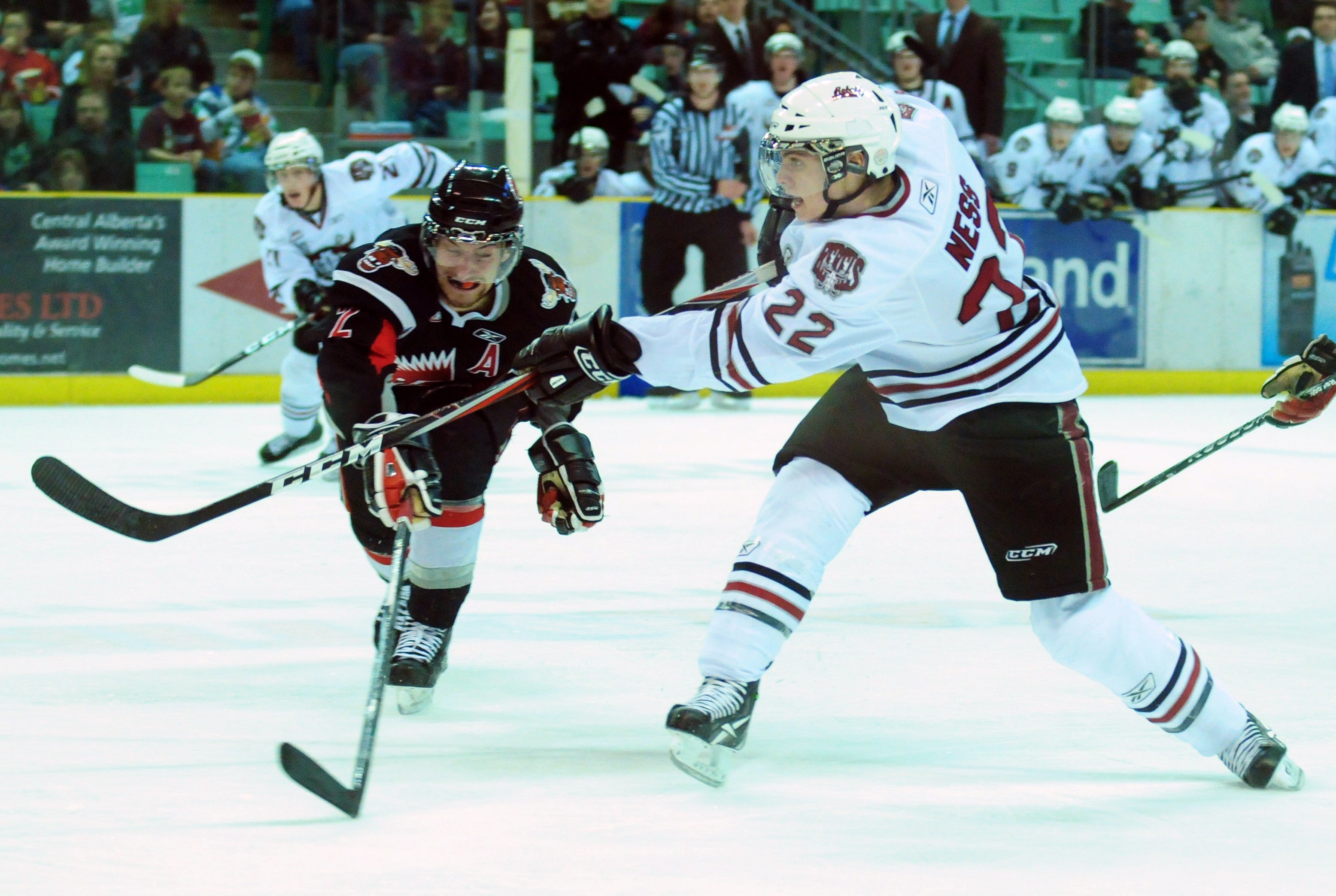 SLAP SHOT- Red Deer Rebel Tyson Ness attempts a slap shot during WHL action Friday night against Moose Jaw. The Rebels won 8-1 but lost 3-1 Tuesday night to Medicine Hat.