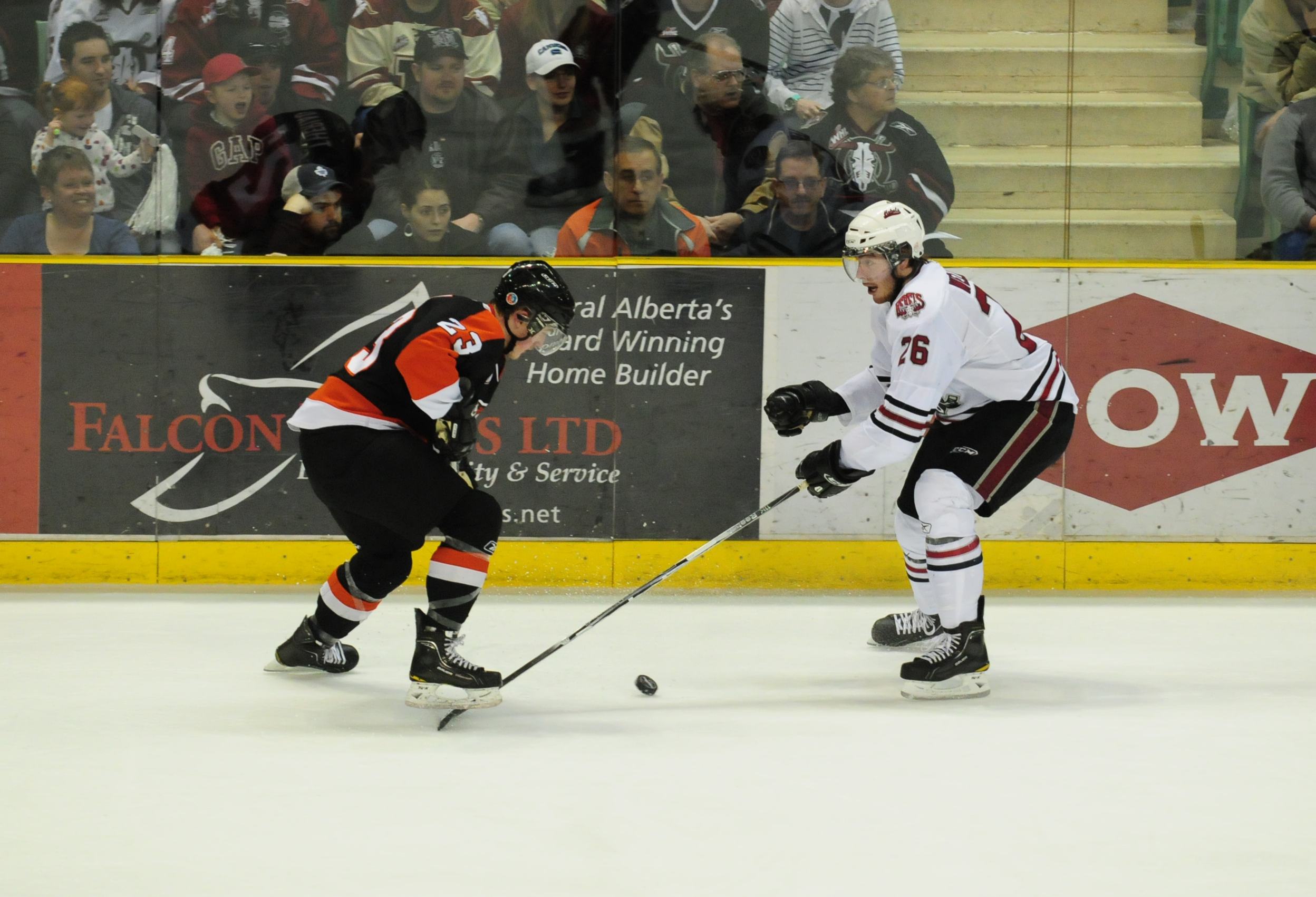 STILL FIGHTING- Red Deer Rebel Justin Weller tries to get to the puck before Medicine Hat Tiger Alex Theriau during WHL action last weekend.