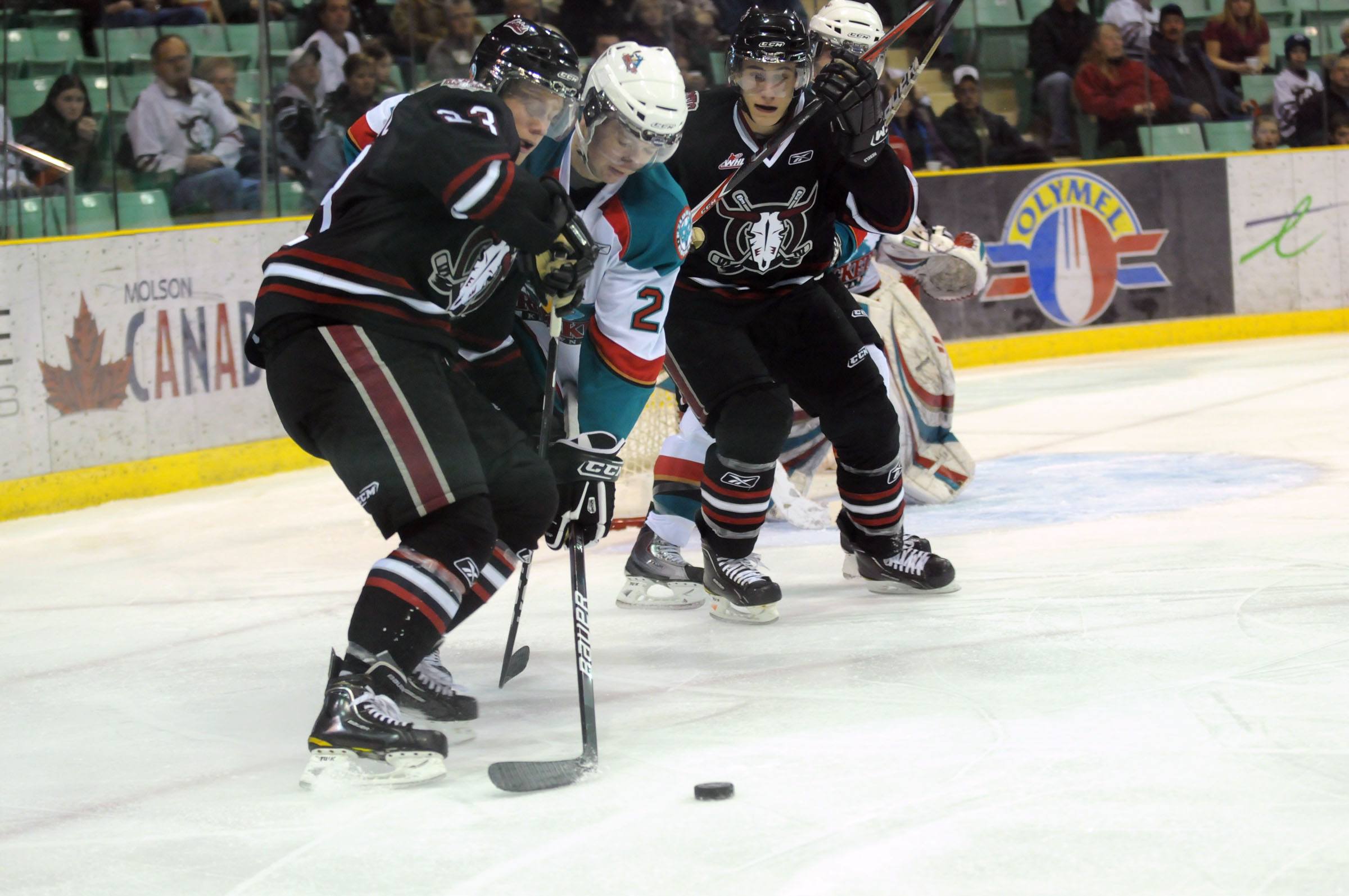 DOUBLE LOSS- Adam Kambeitz of the Red Deer Rebels attempts to steal the puck during WHL action Friday night against Kelowna. The Rebels lost 5-1 and again lost 3-2 against Regina Saturday night.