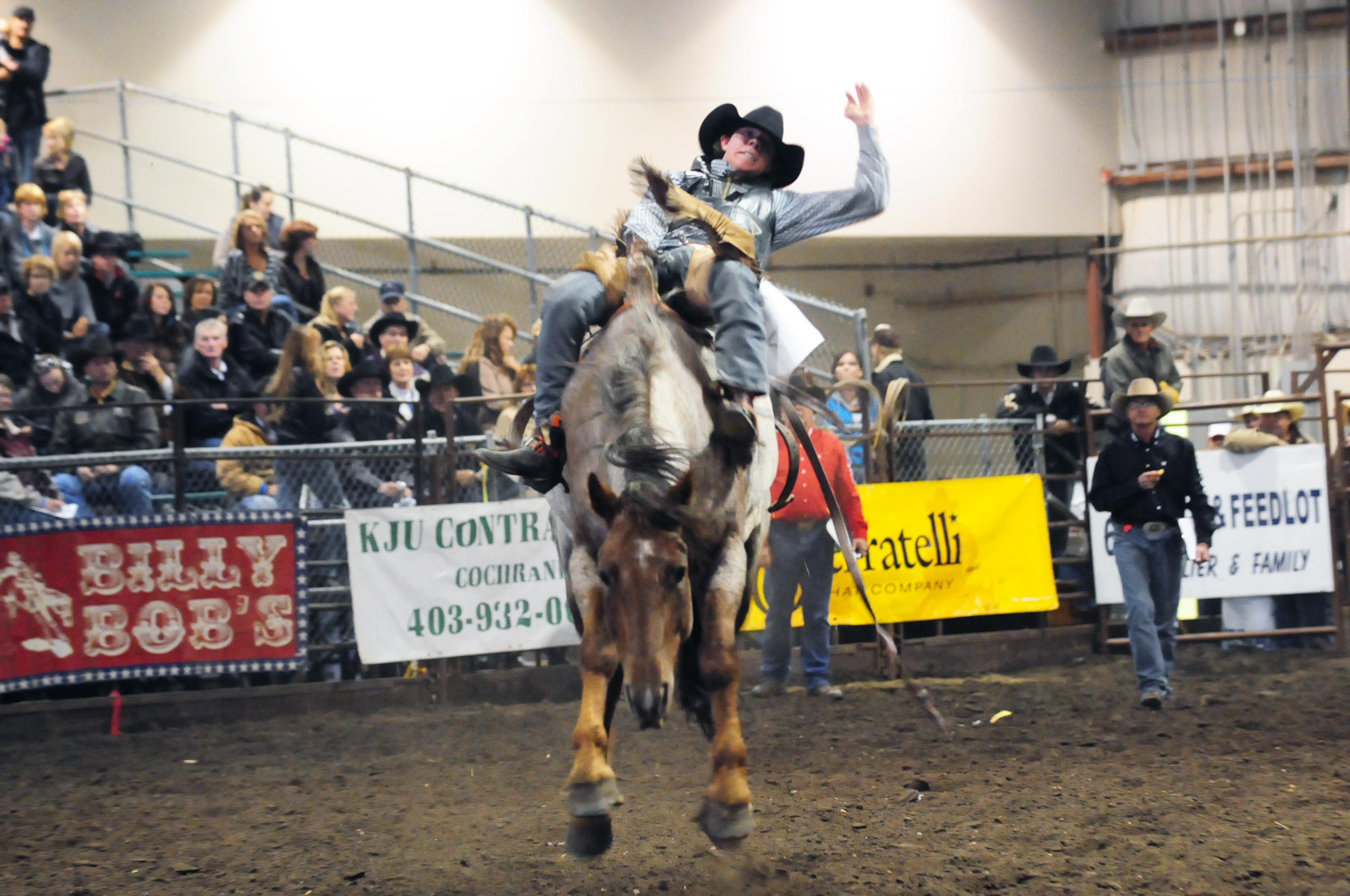 BUMPY RIDE- The Foothills Cowboy Association Cowboy Classic Finals took place this past weekend at the Westerner with cowboys from all over giving it their all.