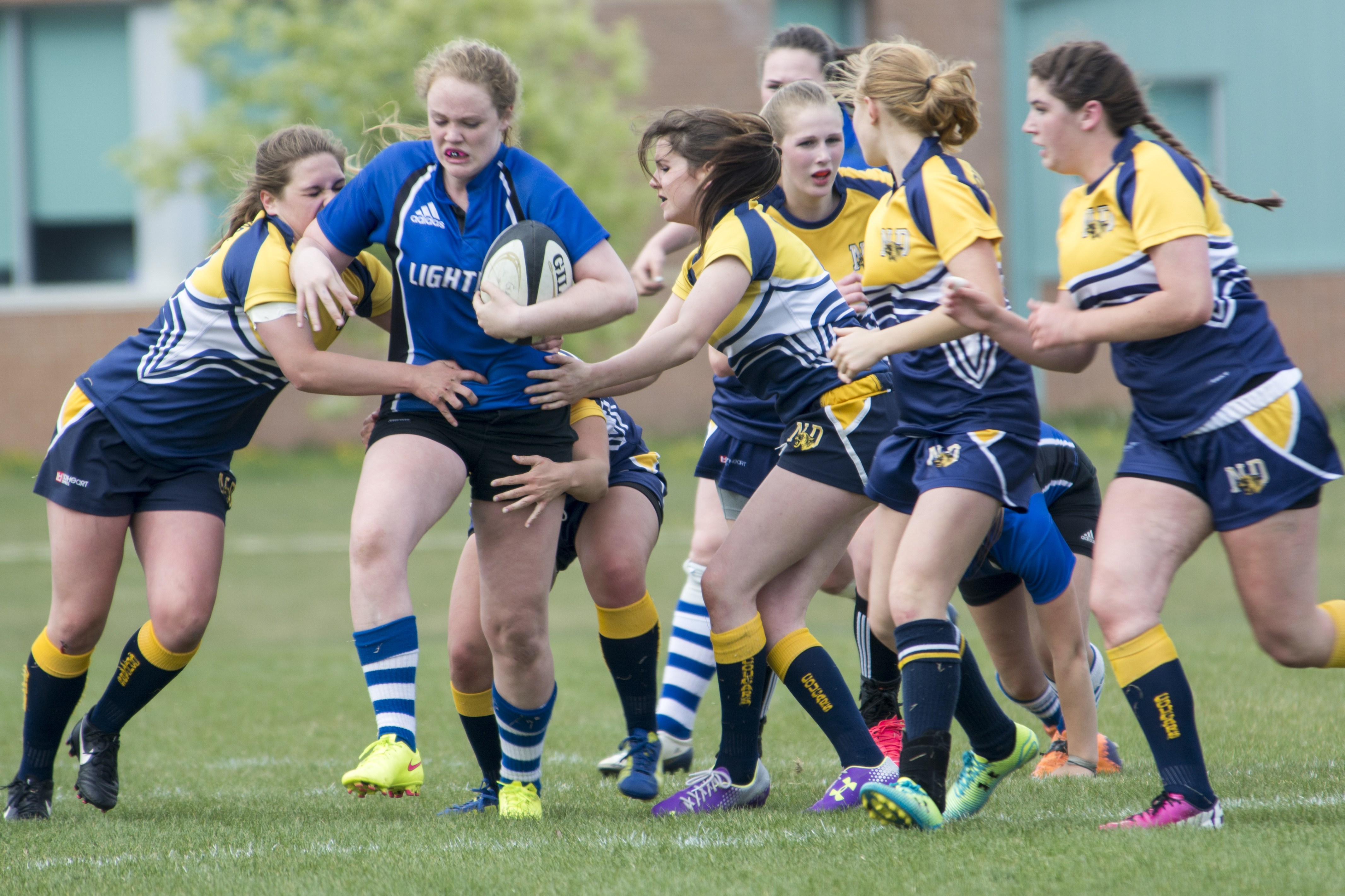 SOLID BATTLE -  A group of Notre Dame High School Cougars takes down Paige Olmstead of the Hunting Hills Lightning during a match last Friday at the Collicutt Centre.