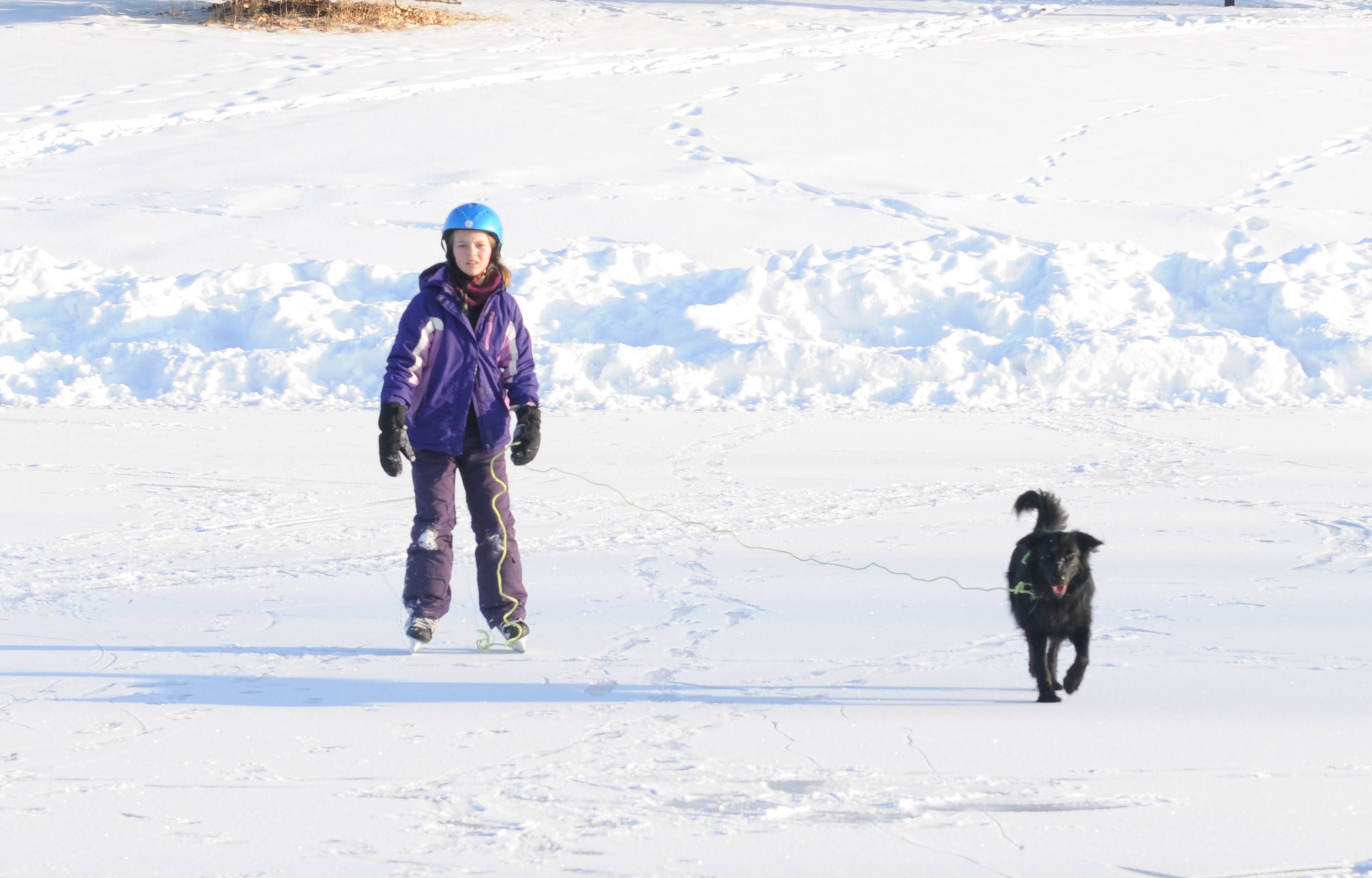 BEST FRIENDS- Kyrianna Reimer skates around Bower Ponds with her dog Zorra.