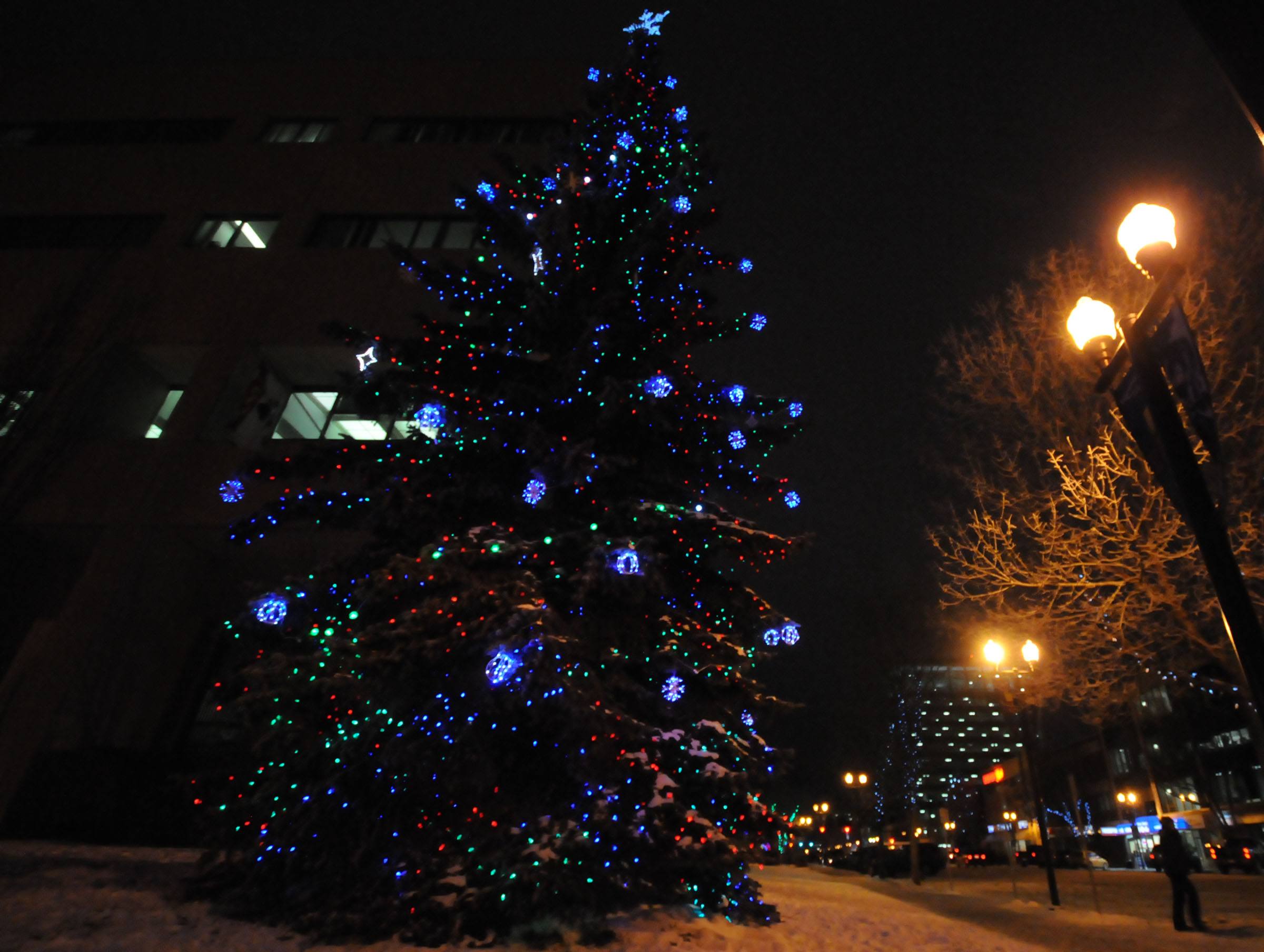 LIT UP- The giant Christmas tree by City Hall glows in the night spreading joy to all who travel downtown Red Deer.