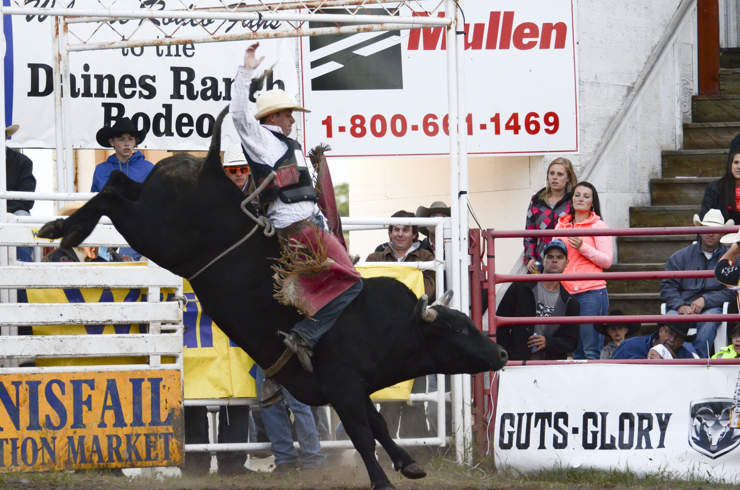 BUCKING BULL - Jared Paulson of Red Deer rode a mean bull at the Daines Ranch Rodeo during a previous event at the grounds.