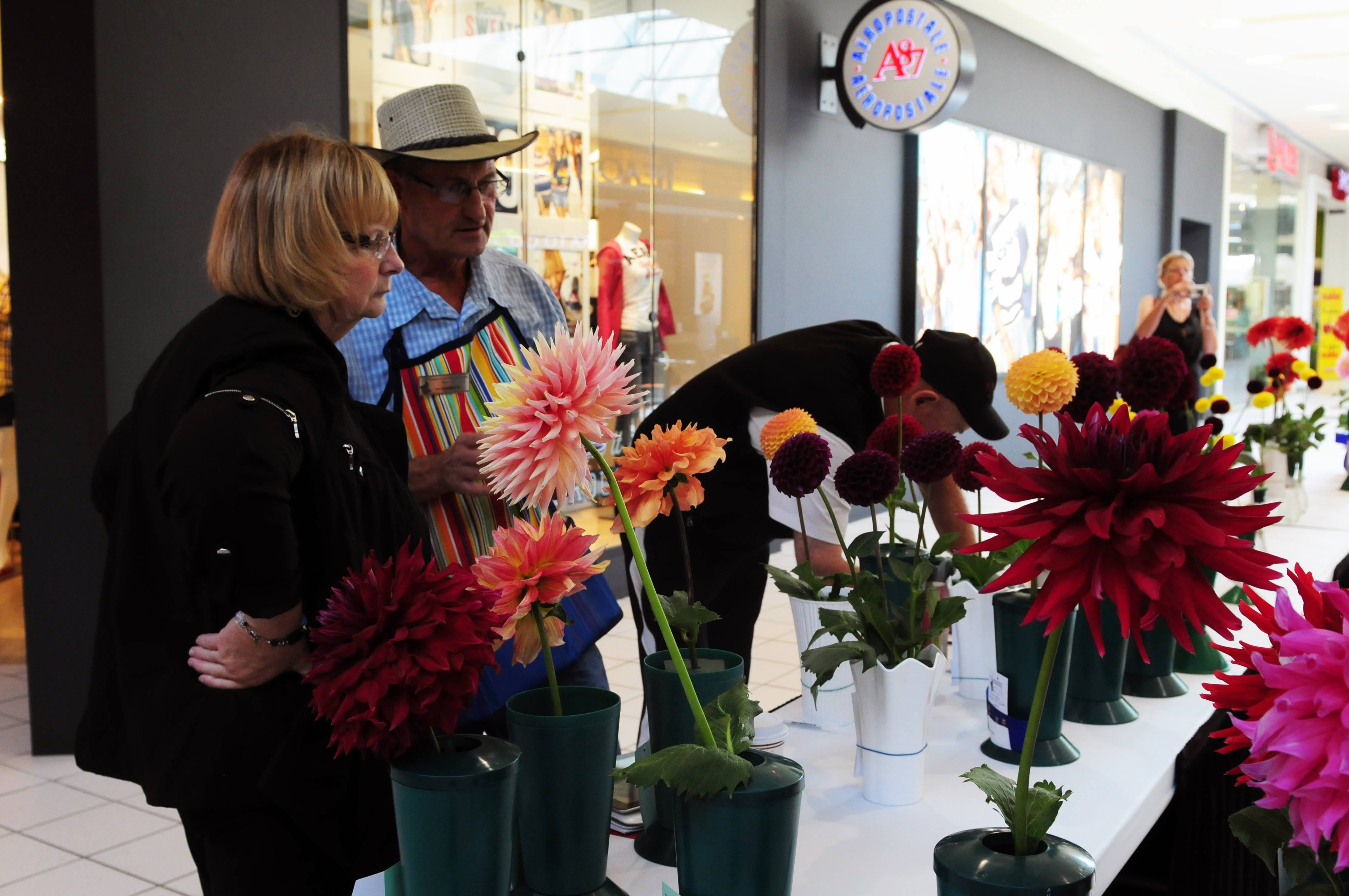 PERFECT- Judges look over just some of the many entries in this past weekends flower show at the Bower Mall this past weekend.