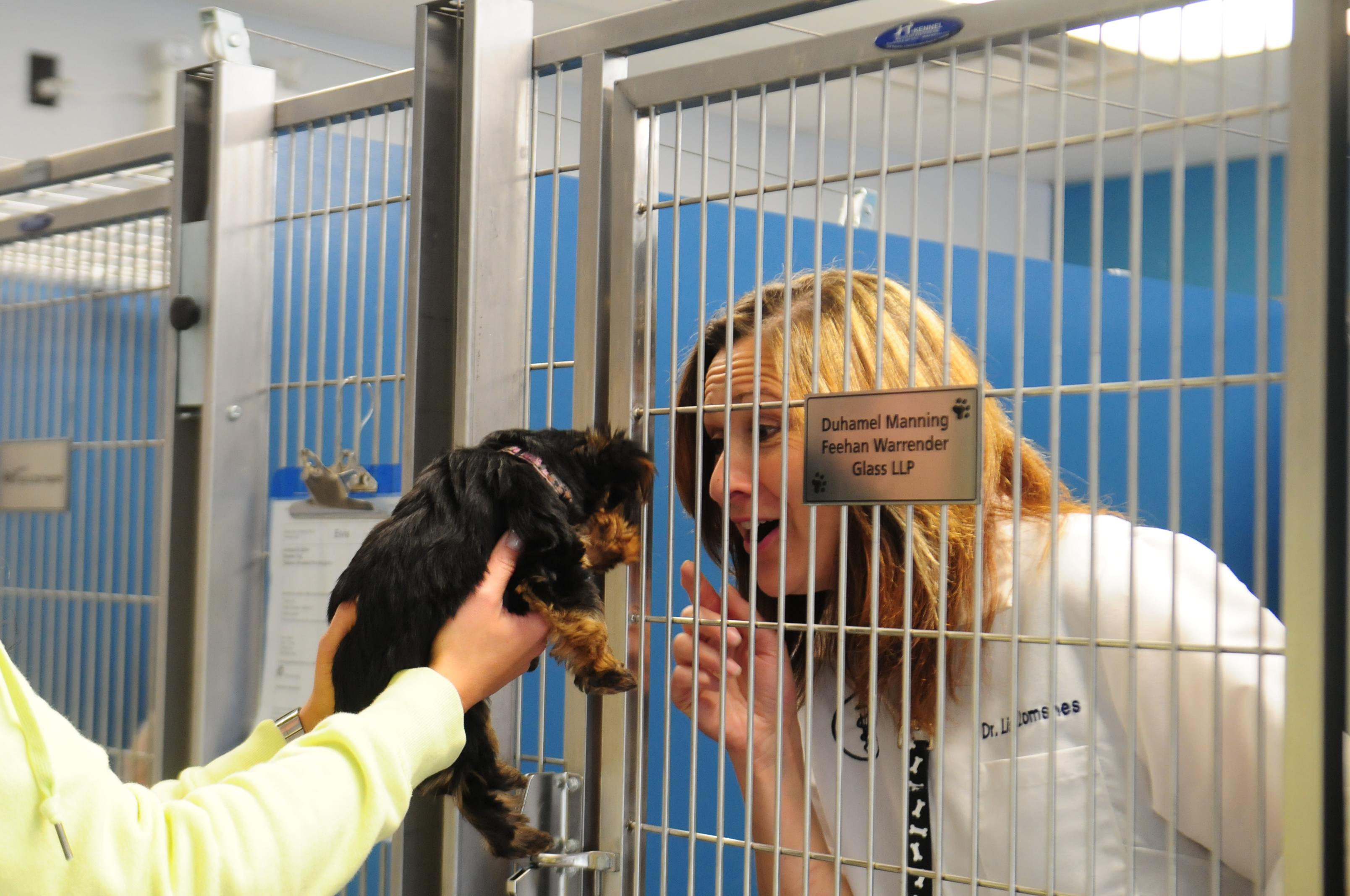 SWITCHED- Dr. Lisa Lomsnes peers out of a kennel at a little puppy during the Red Deer and District SPCA's fundraiser this past weekend. They raised $23