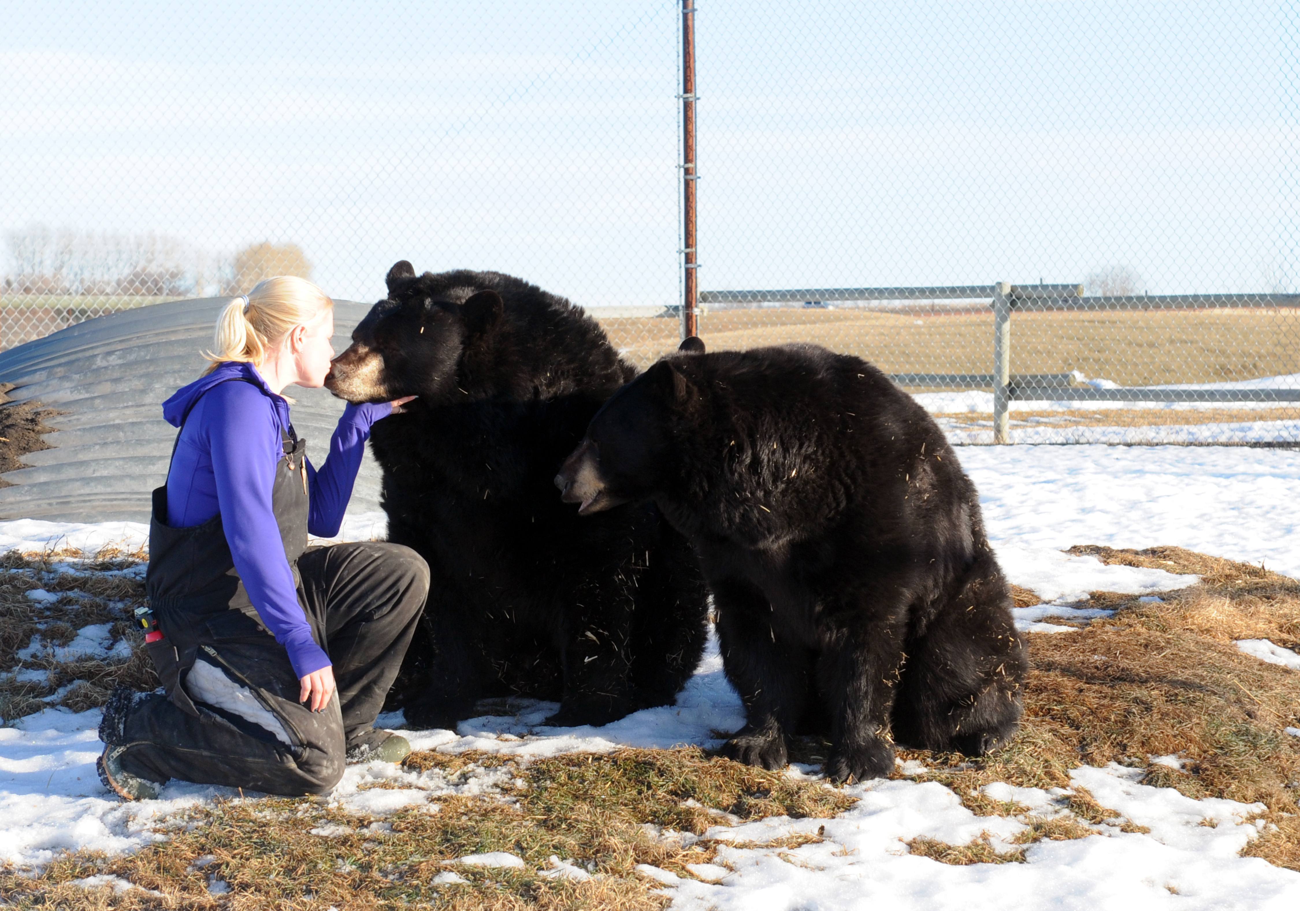 TENDER MOMENT- Serena Bos with Discovery Wildlife Zoo in Innisfail hangs out bears Keno