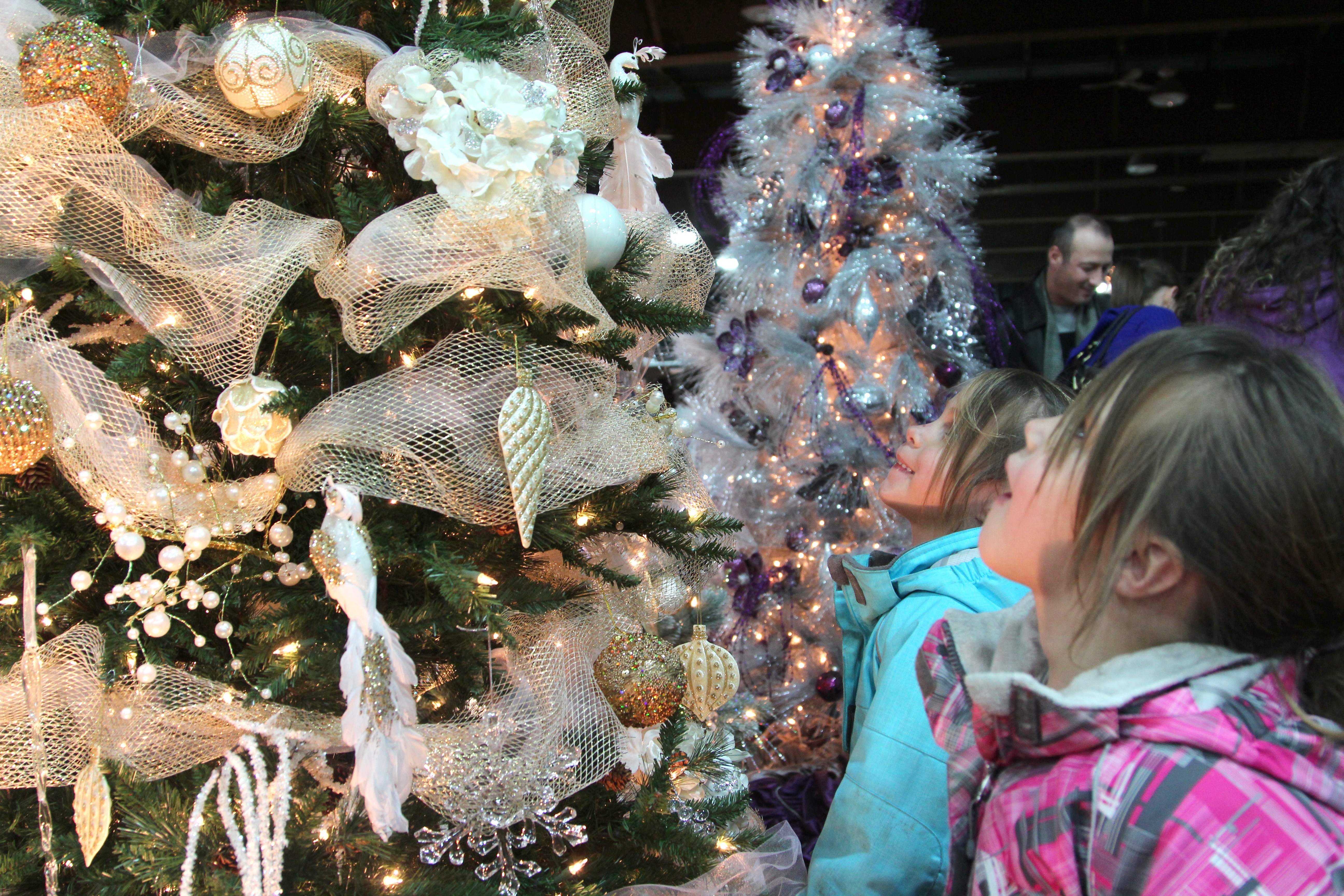 Successful year for Festival of Trees Red Deer Express