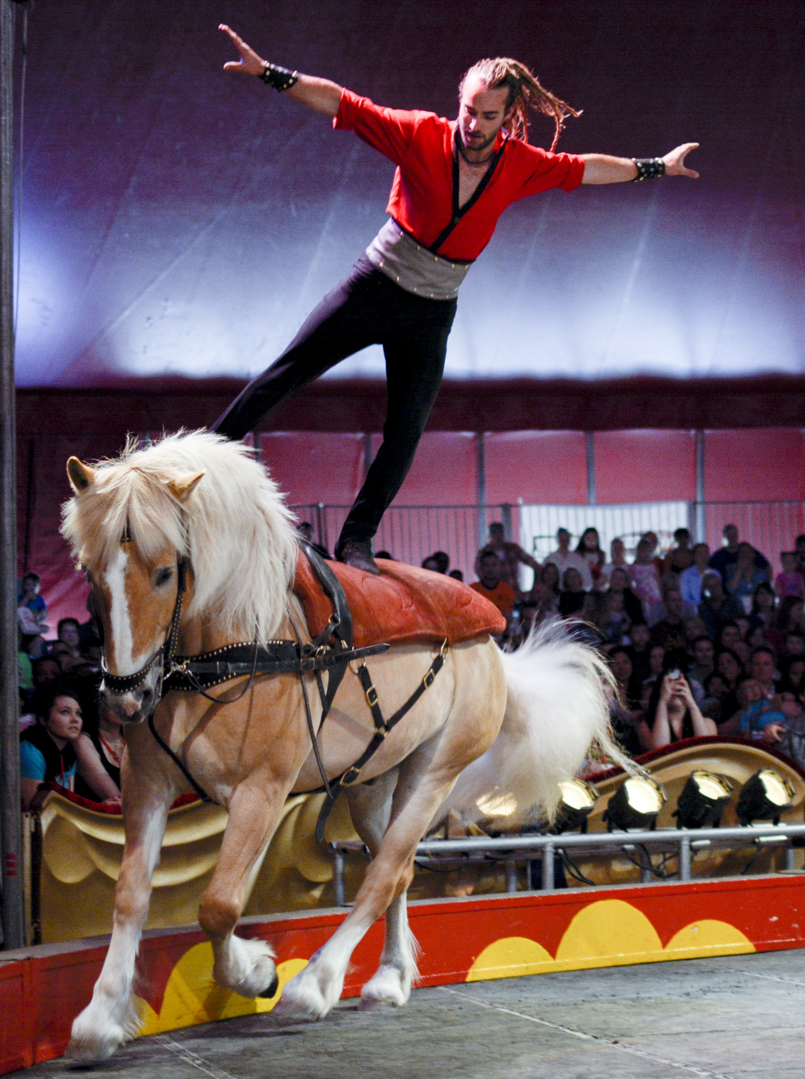 ENTERTAINING – The Royal Canadian Circus returns to the City for six shows this coming weekend.