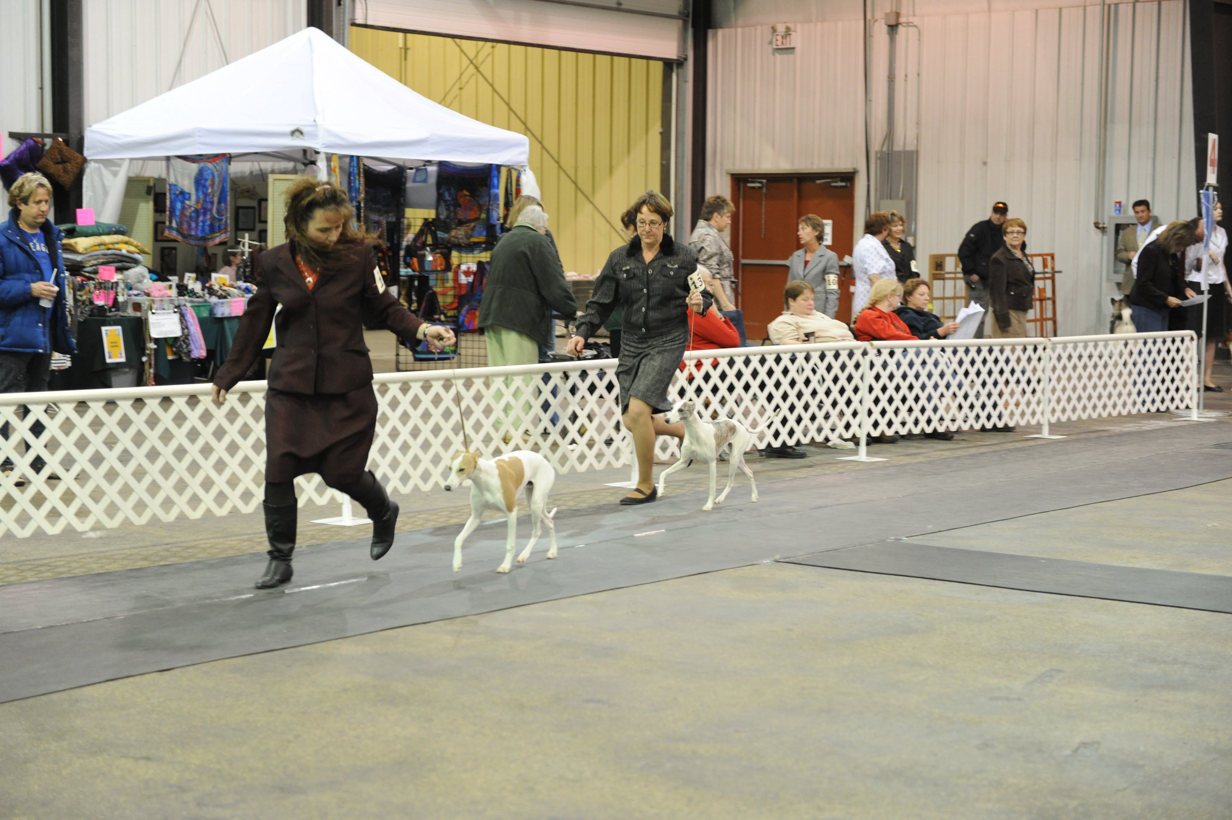 SHOWING OFF- Handlers showed off their dogs at this past weekends Red Deer and District Kennel Club Dog Show and Obedience Trials at the Westerner.