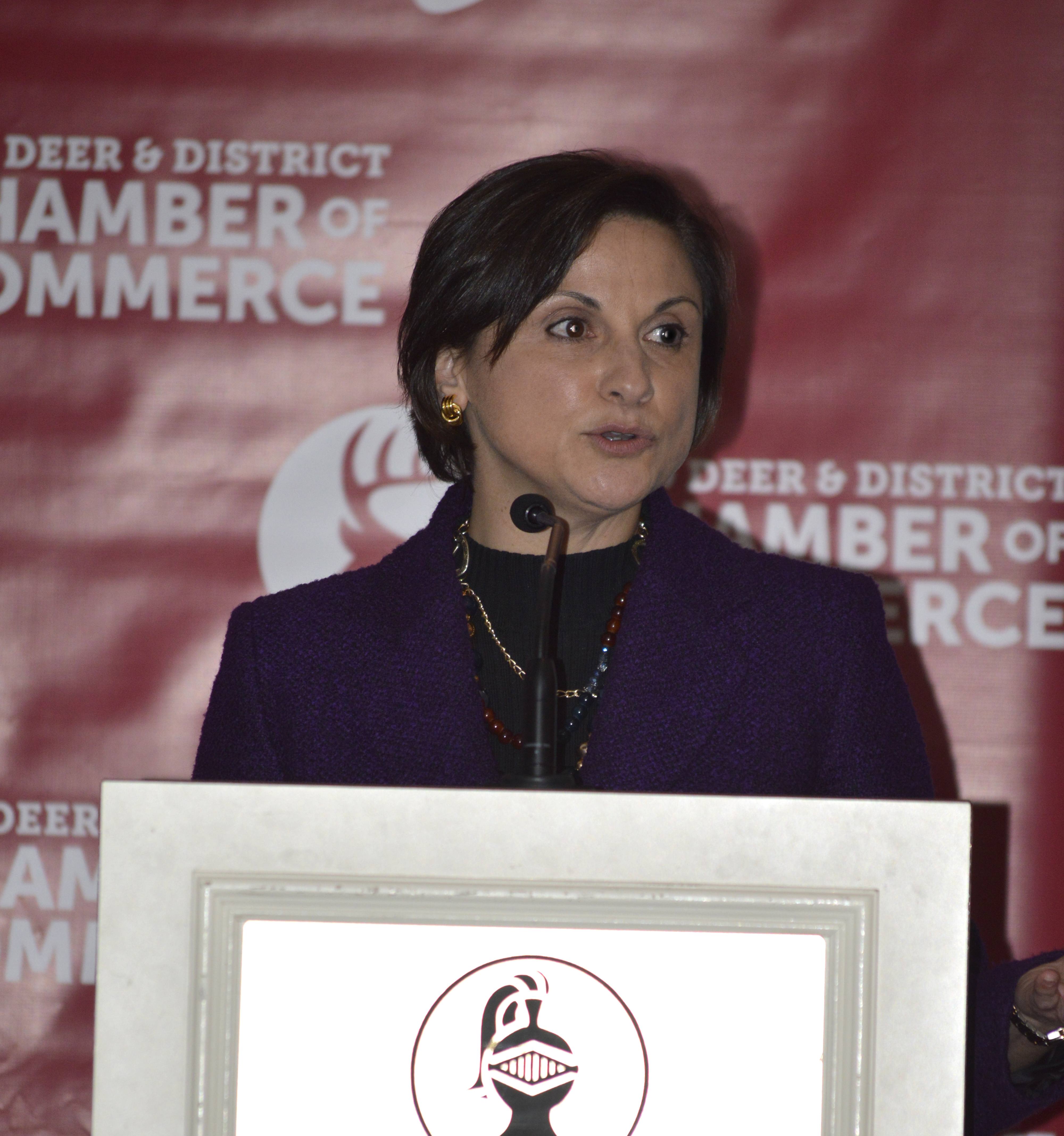 POWER - ENMAX President and CEO Gianna Manes speaks about changes in the electricity sector during the Red Deer and District Chamber of Commerce luncheon at the Black Knight Inn on Wednesday.