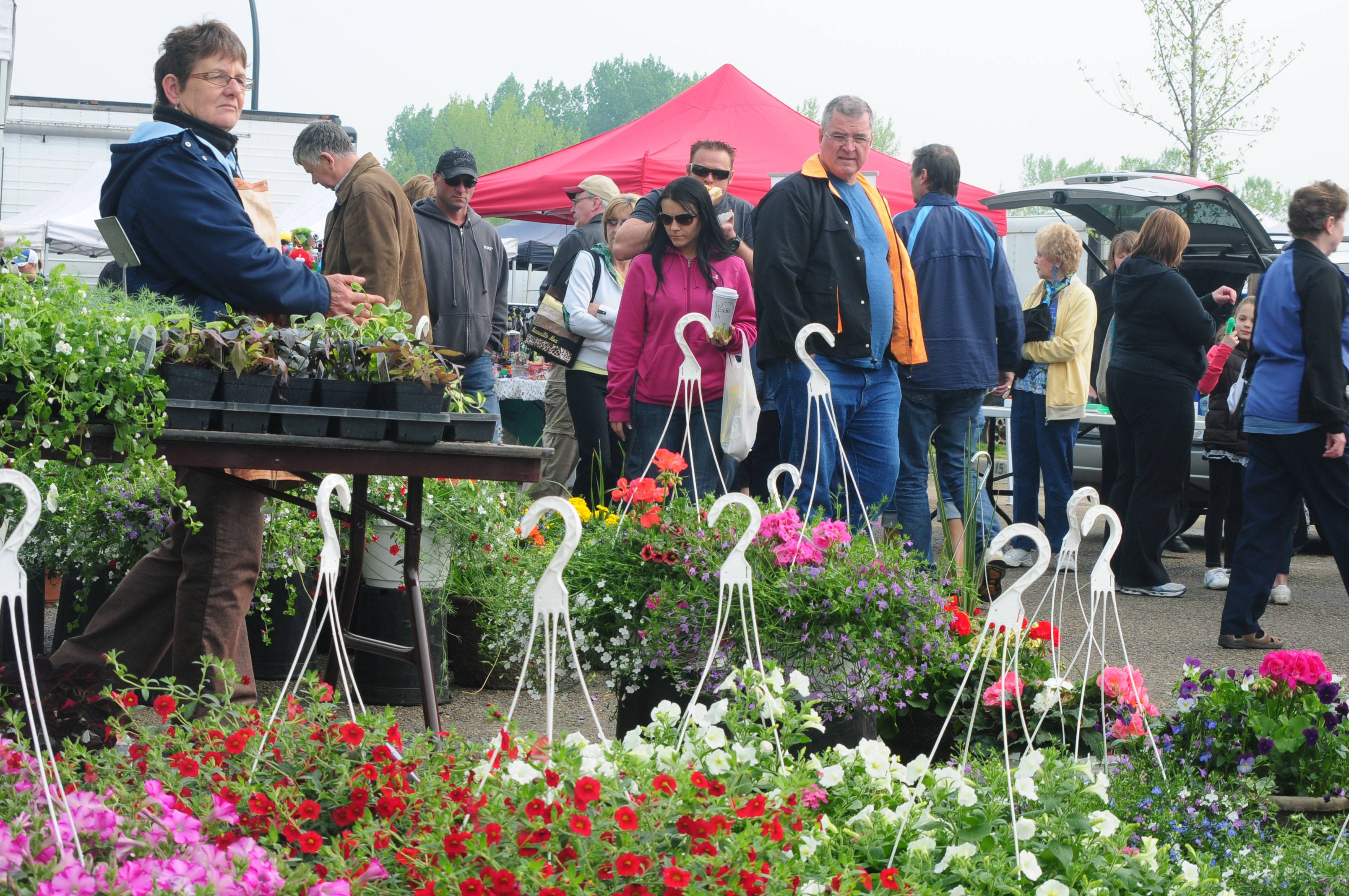 SELECTION- Many Red Deerians made their way to the downtown Market this past weekend at the Red Deer Arena to browse some of the local produce and flowers.