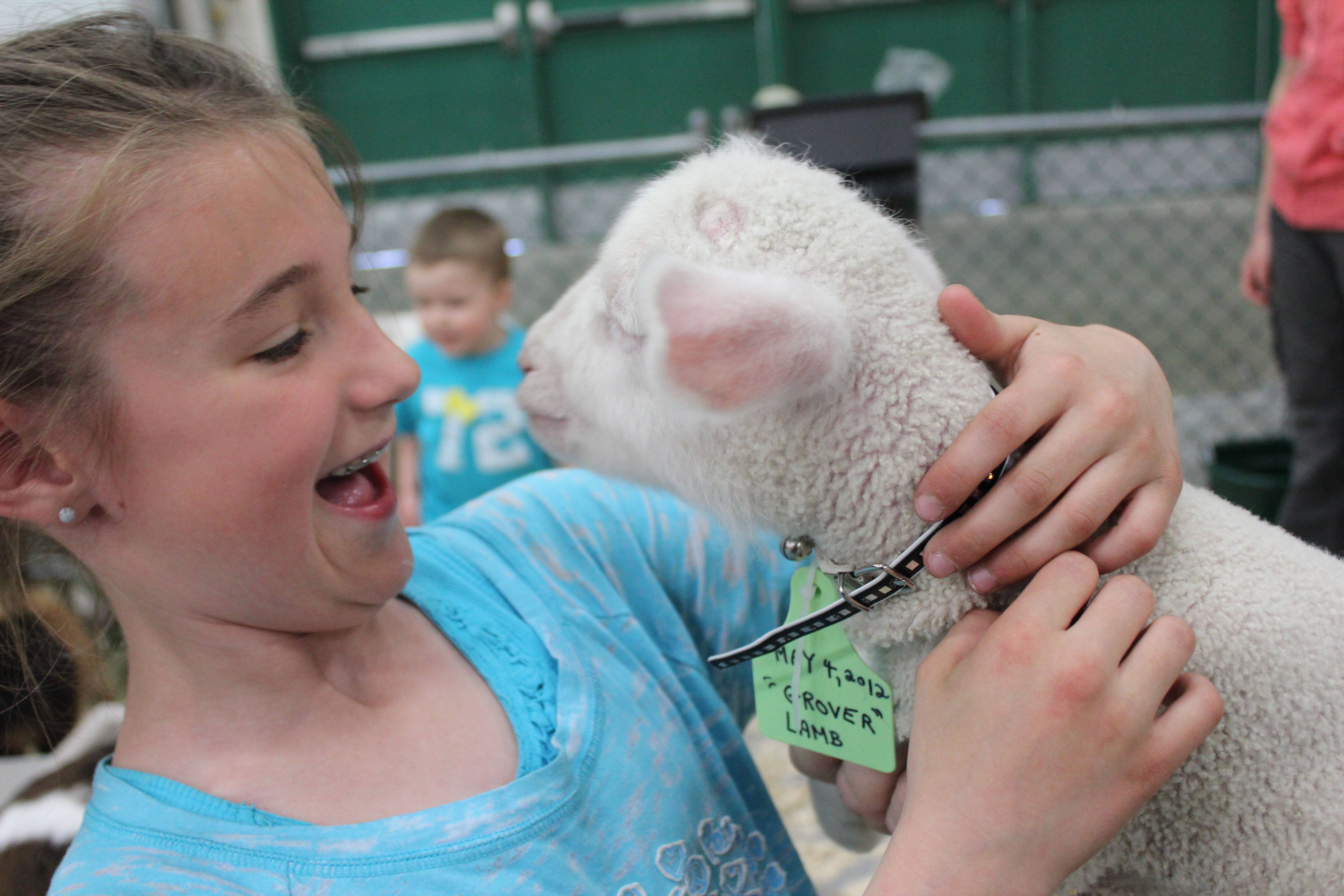 KISSES- Eight-day-old Grover the lamb tries to steal a kiss from eight-year-old Rylee Hall at the Thistle Hill Farm Petting Zoo at the Family Expo in Red Deer.