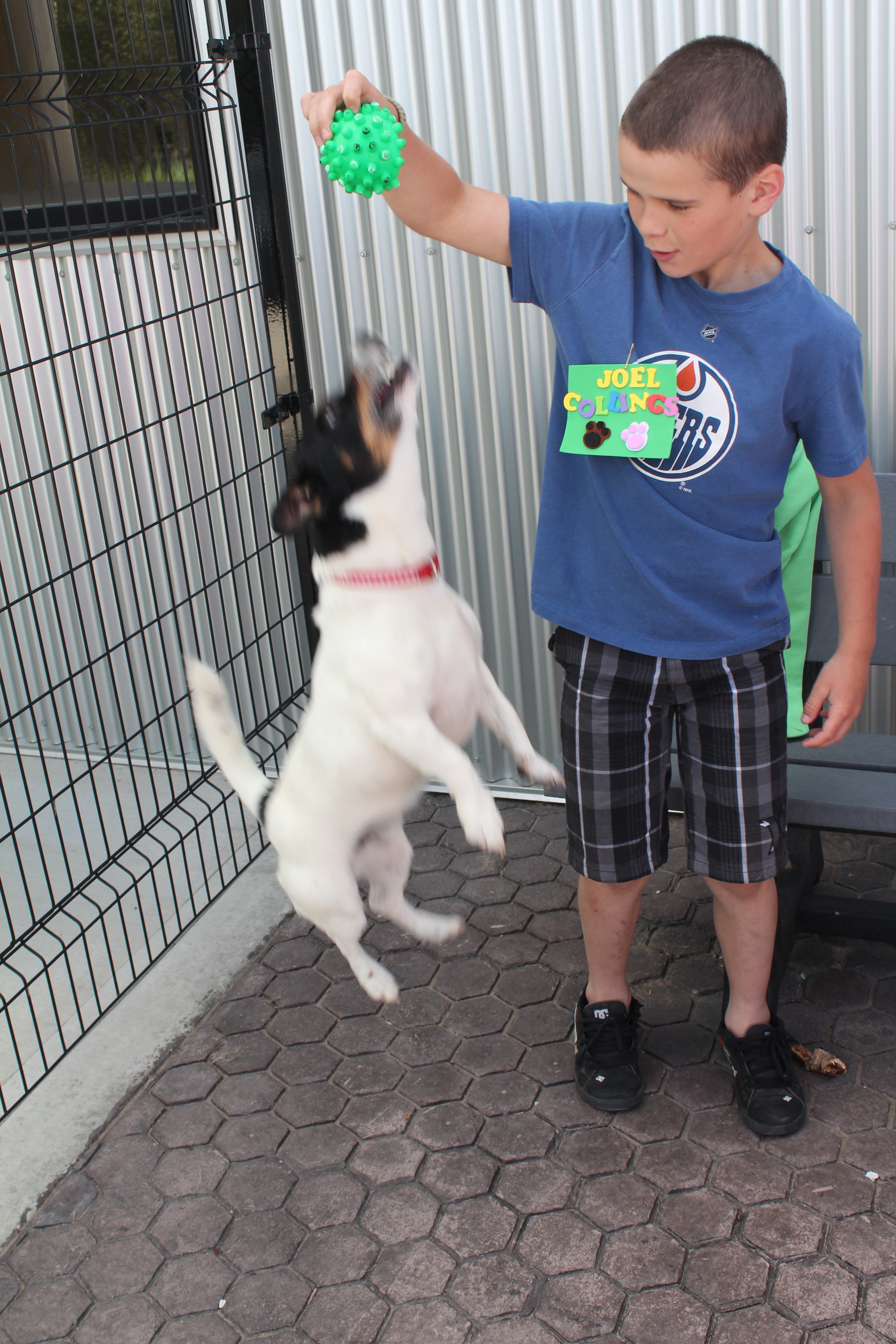 PLAYFUL PUP- Joel Collings plays with Eddie while attending a SPCA summer camp this past week. Eddies is waiting for his "forever home".