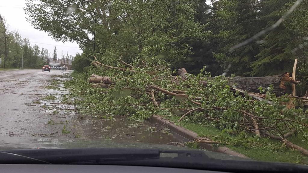 DAMAGE - High winds have caused a number of trees to block roadways and damage property throughout the City. The spring storm is also being blamed for power outages in various areas as well as Central Alberta has been under a weather watch for most of the day.