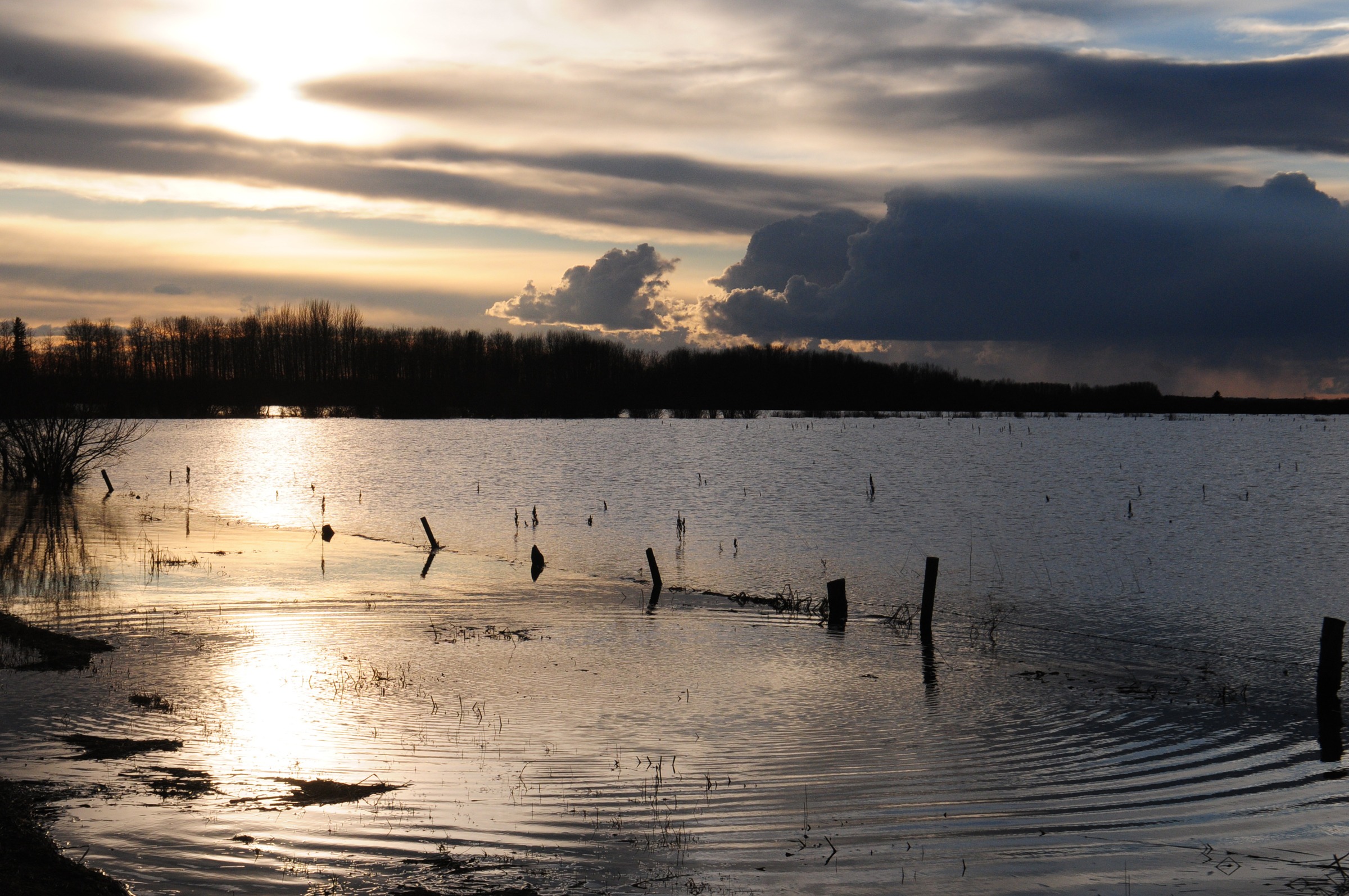 MORE WATER- The top of a farmers fence is all that is visible as water keeps rushing down into a field just south of Red Deer recently.