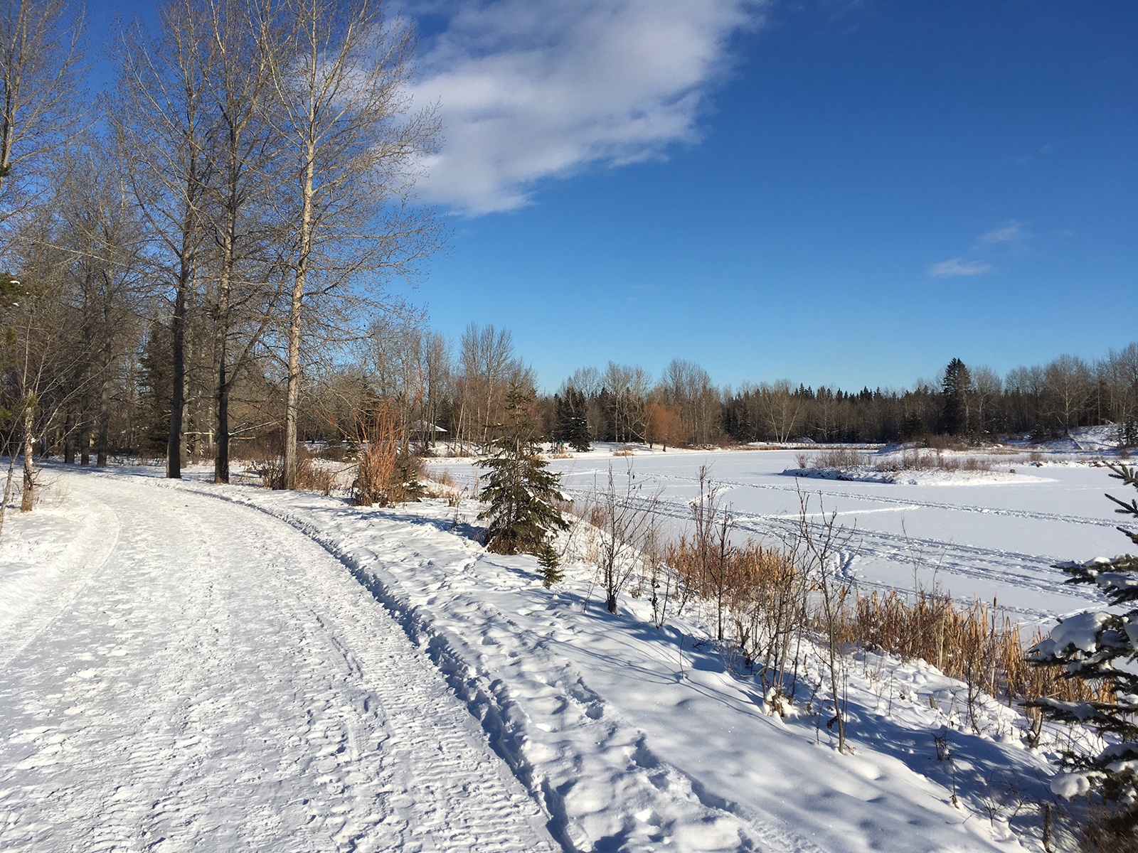QUIET SCENE - McKenzie Trails is just one of many areas in the City that provides residents with a terrific spot to get some post-holiday exercise.