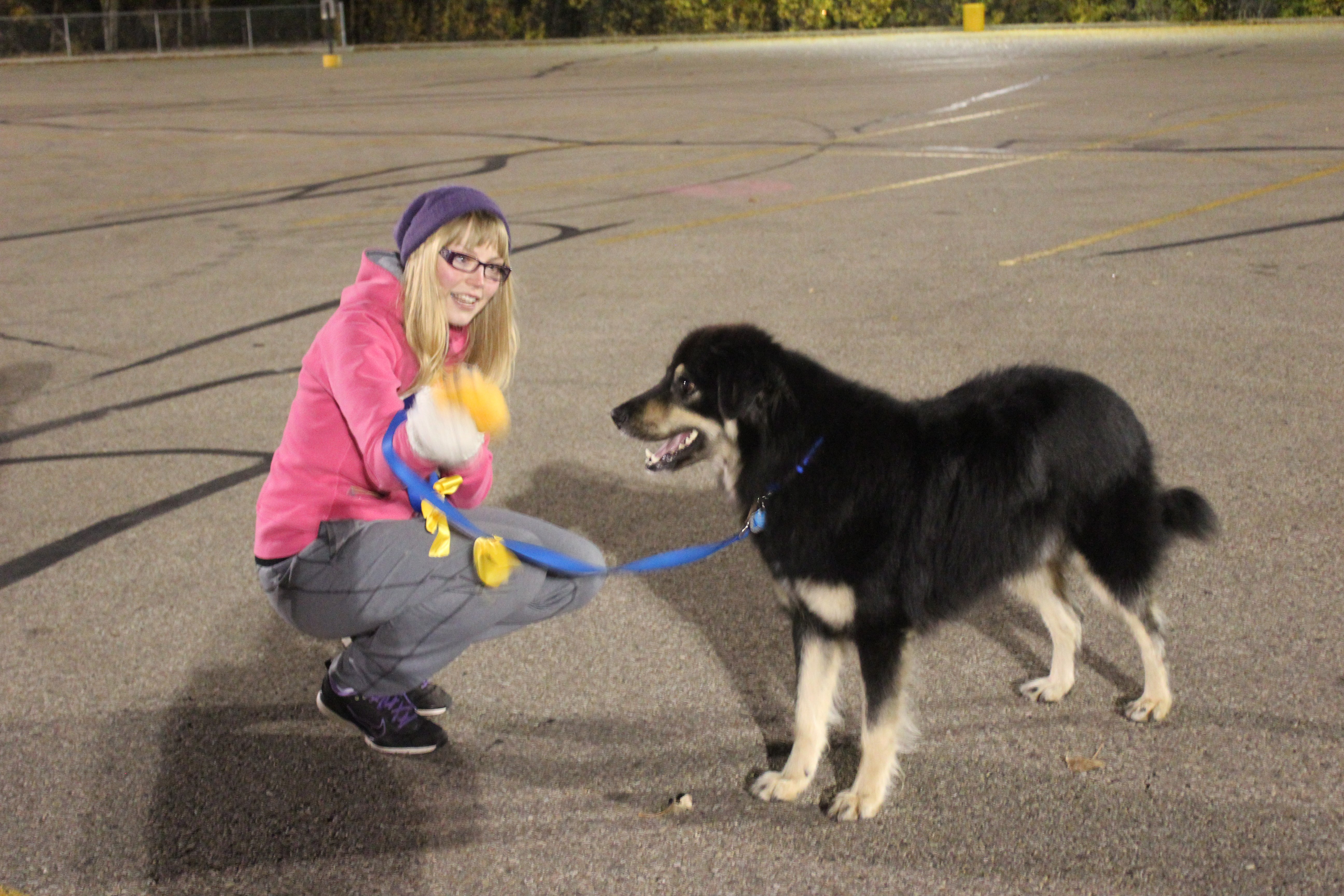 YELLOW WARNING – Danielle Gettis and her dog Traxx participate in a training session. Traxx wears a yellow ribbon on his leash to alert people that he needs extra space.