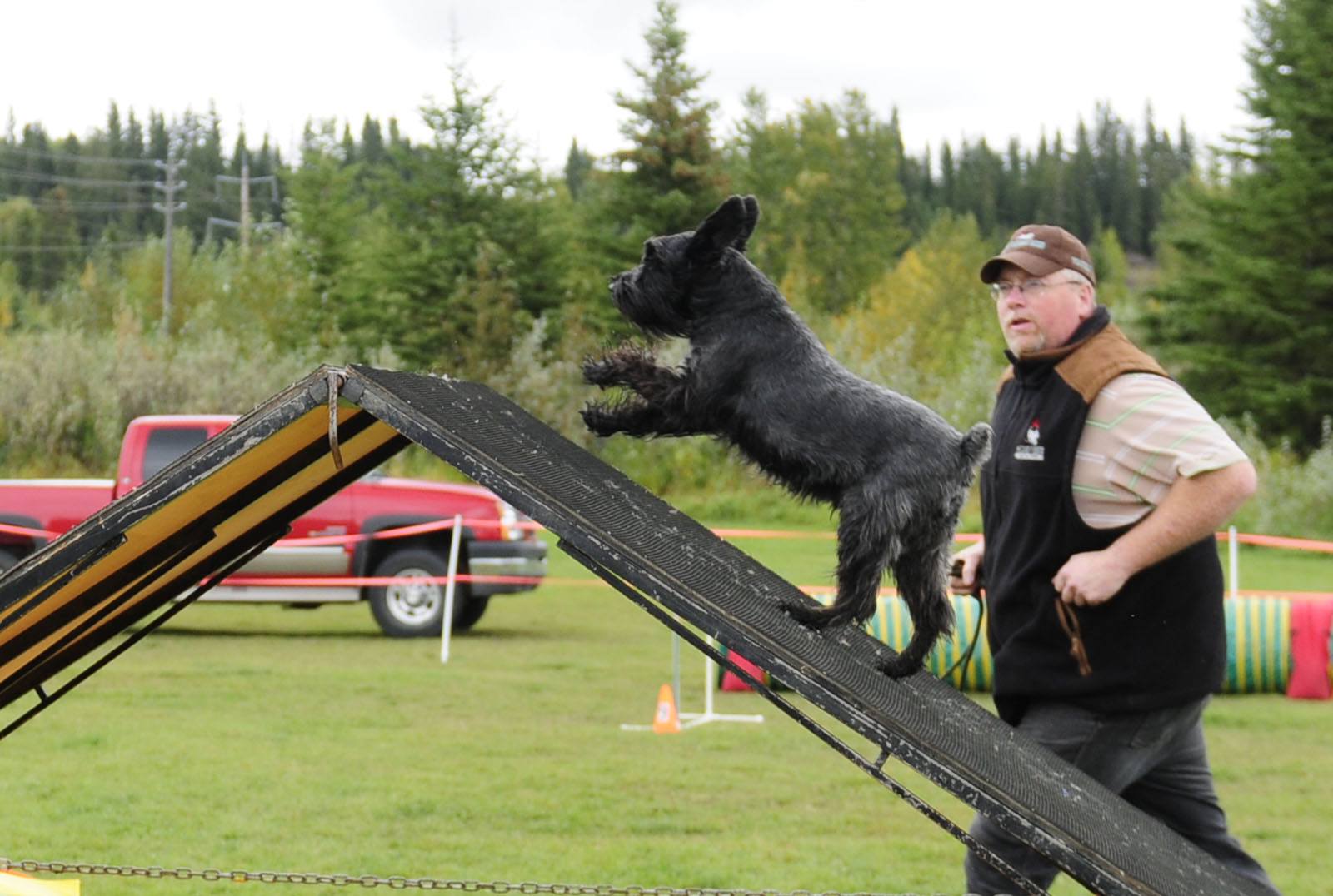 Bark at the Bend 2010 took place Saturday at Three Mile Bend in Red Deer with activities and demonstrations all dedicated to dogs. Darcy Boyce and his pal Tookum showed off their agility skills as part of the Hot Diggity Dogs Agility Club demonstration.