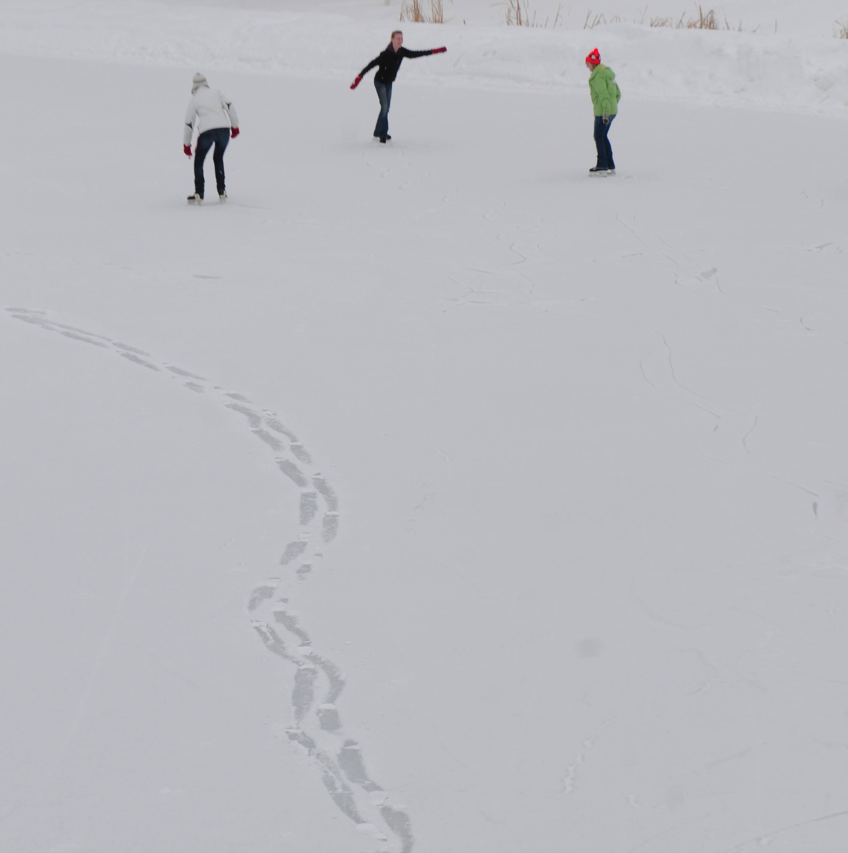 SILENT STEPS- Footprints on the snow covered ice at Bower Ponds carve a path while skaters dance around them.