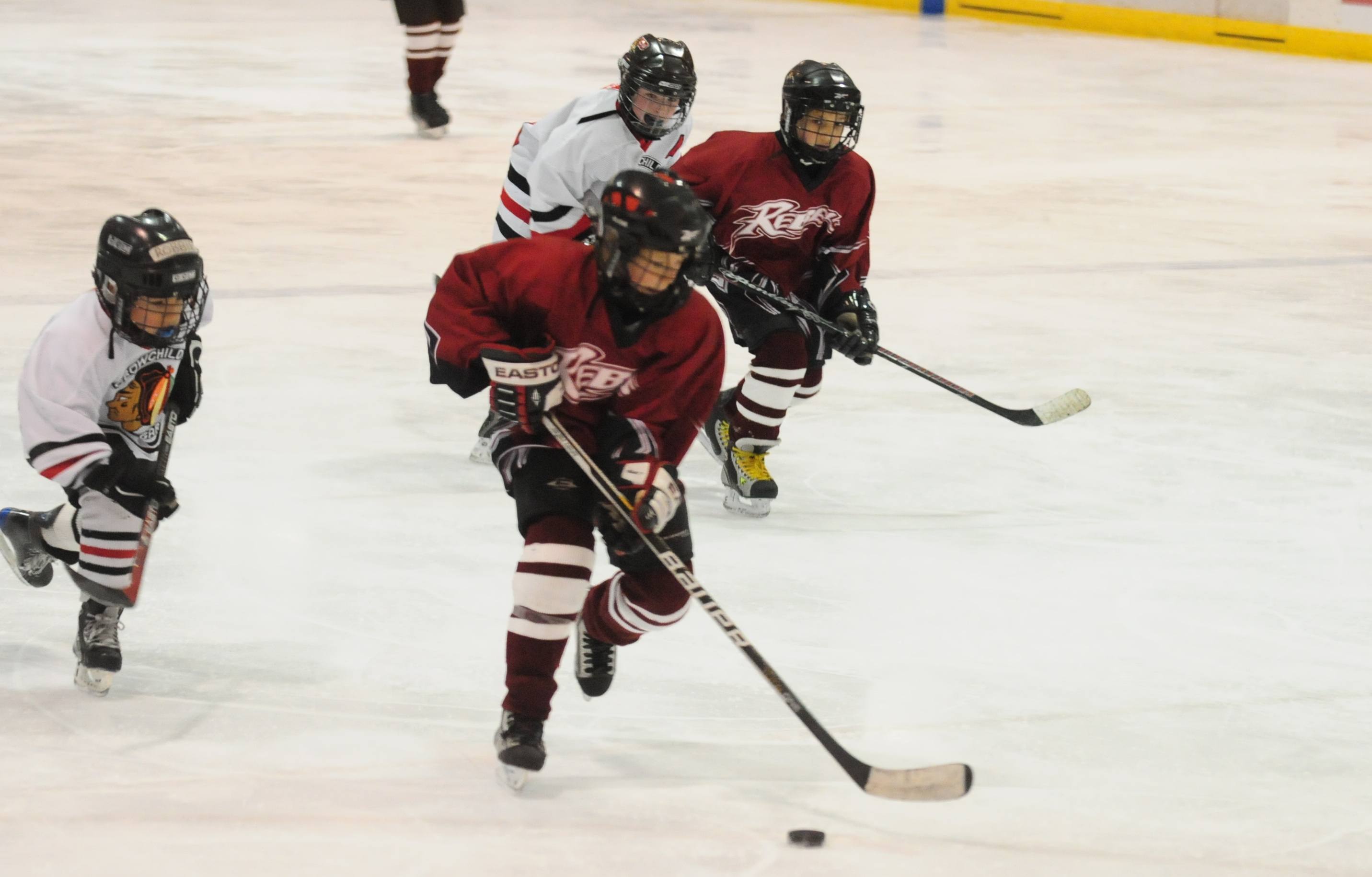 LITTLE REBELS- Spring hockey is in full swing as the little Rebels were up against Calgary this past weekend at the Red Deer arena.