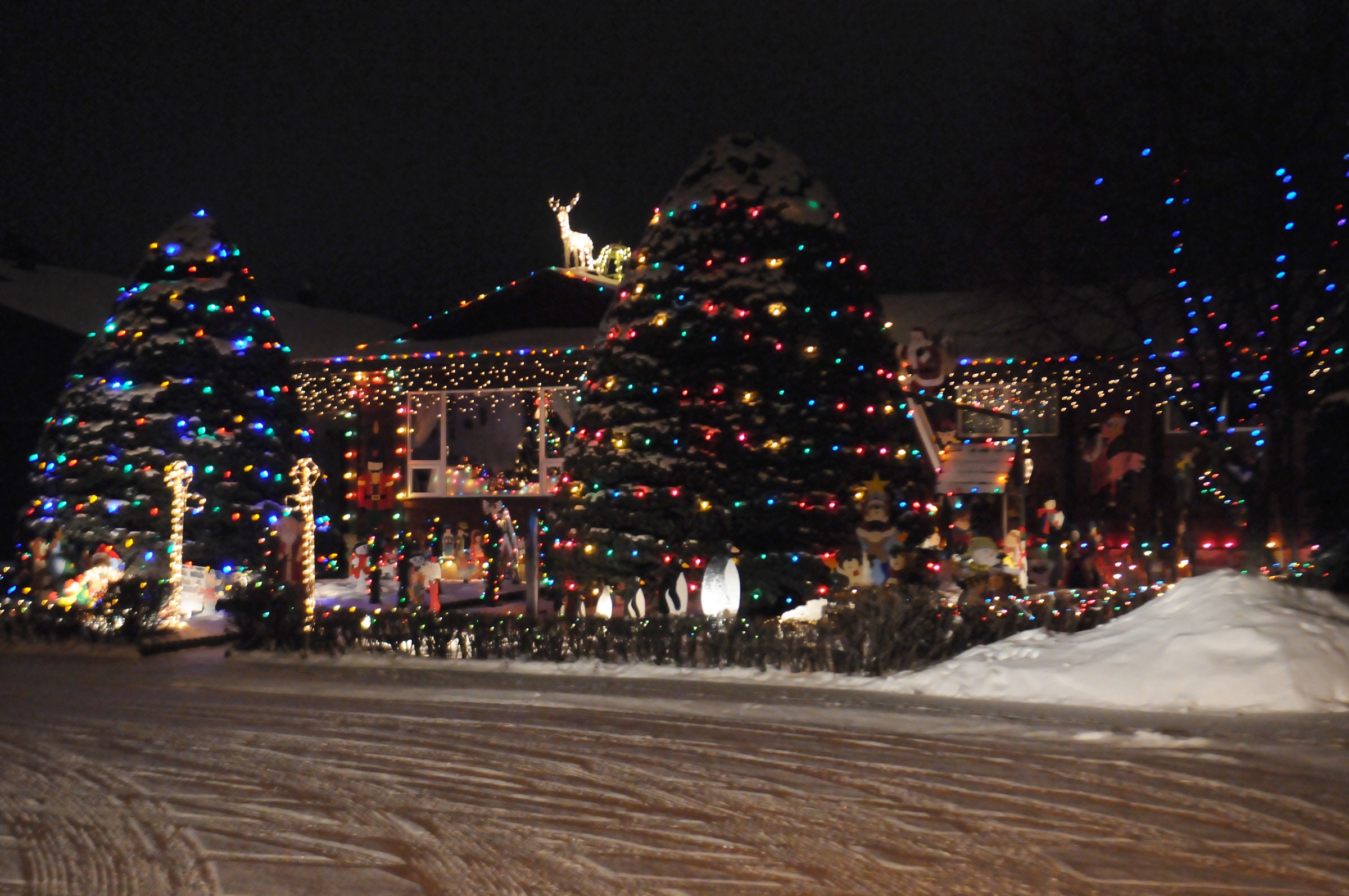 SHINING ON- A house on Baines Crescent in Red Deer lights up the whole block with many colourful and creative Christmas decorations.