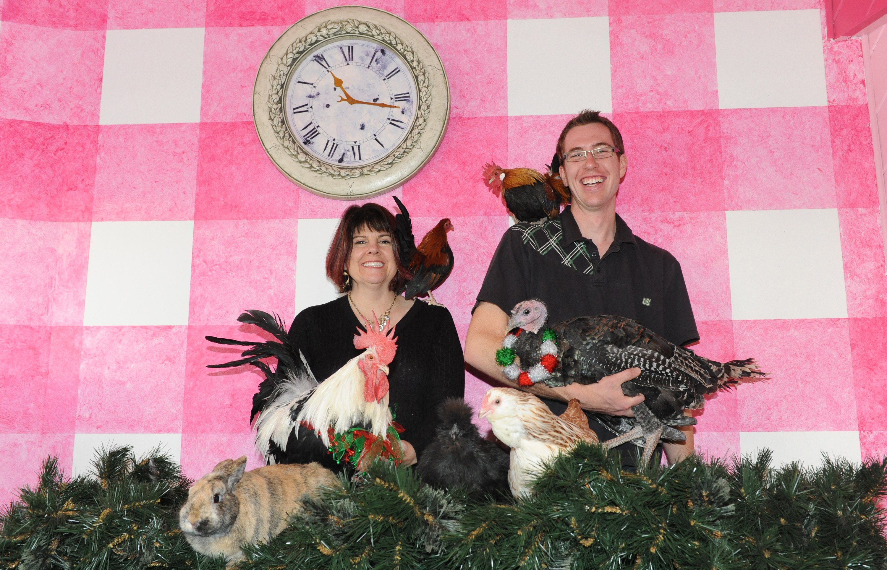 COUNTRY CREATURES- Liz Munro and Kyle Lawrence show off some of the animals as they get ready for the upcoming Heritage Breeds show at the Westerner Dec. 9-11.