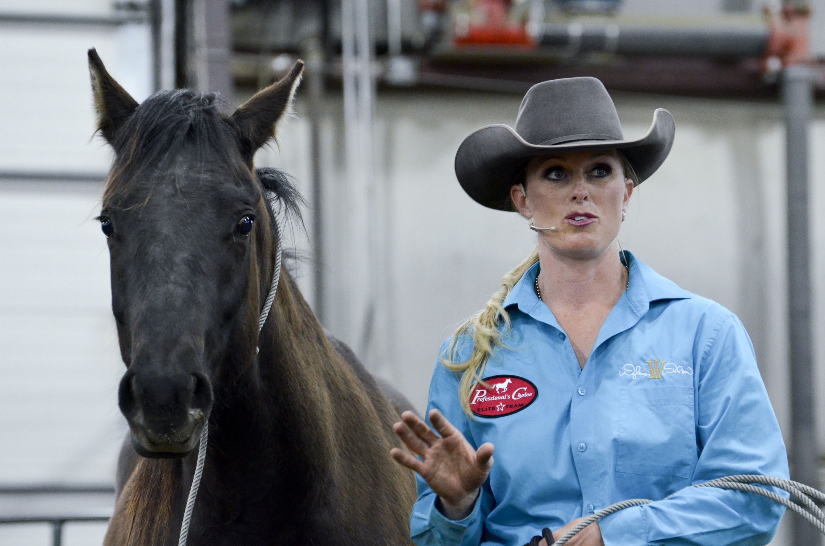 WILD RIDER – Wylene Davis begins working with the wild horse she drew