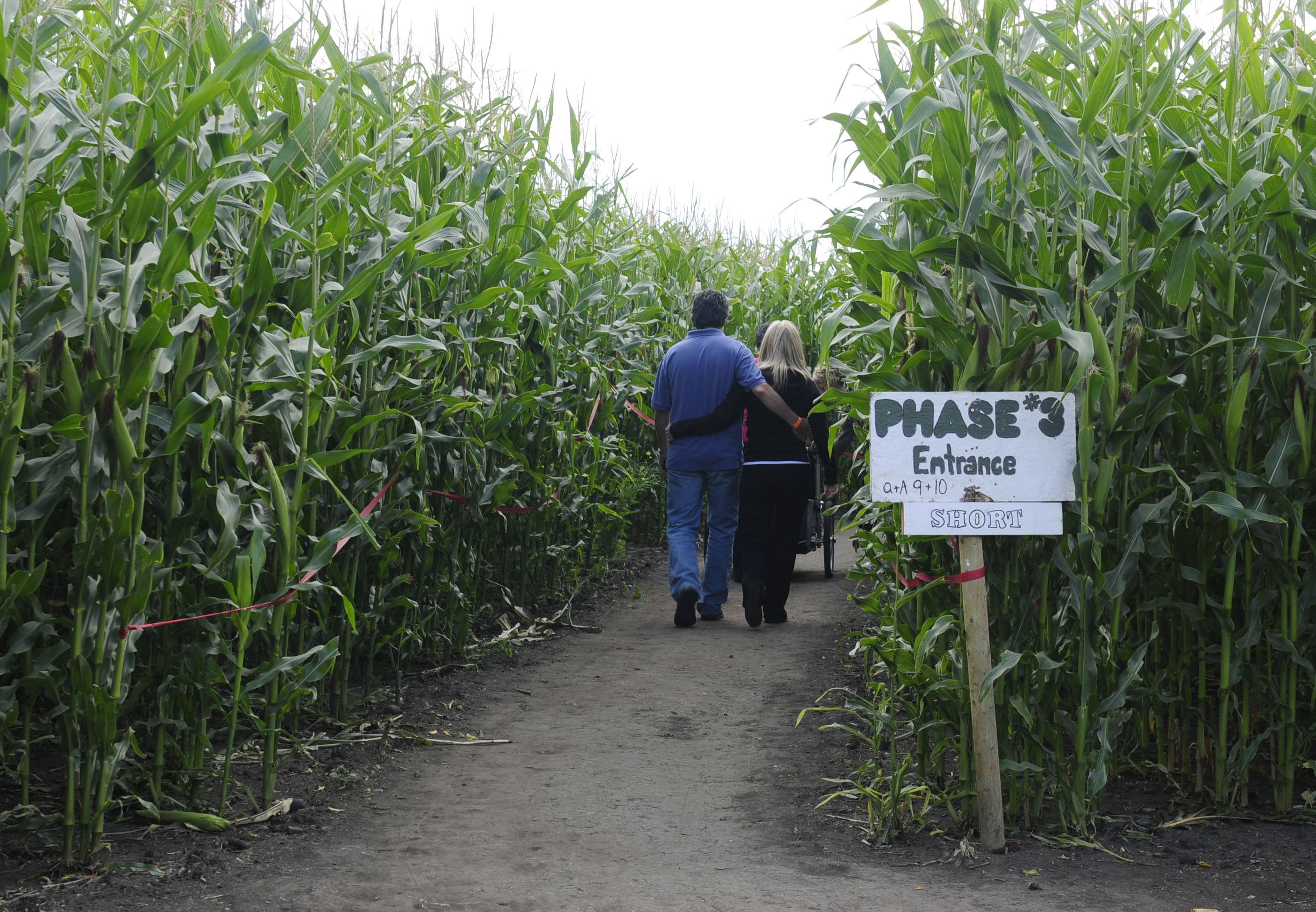 Many people came out to support the Ronald McDonald House Saturday at the Lacombe Corn Maze with a $1 of every admission going towards the organization.