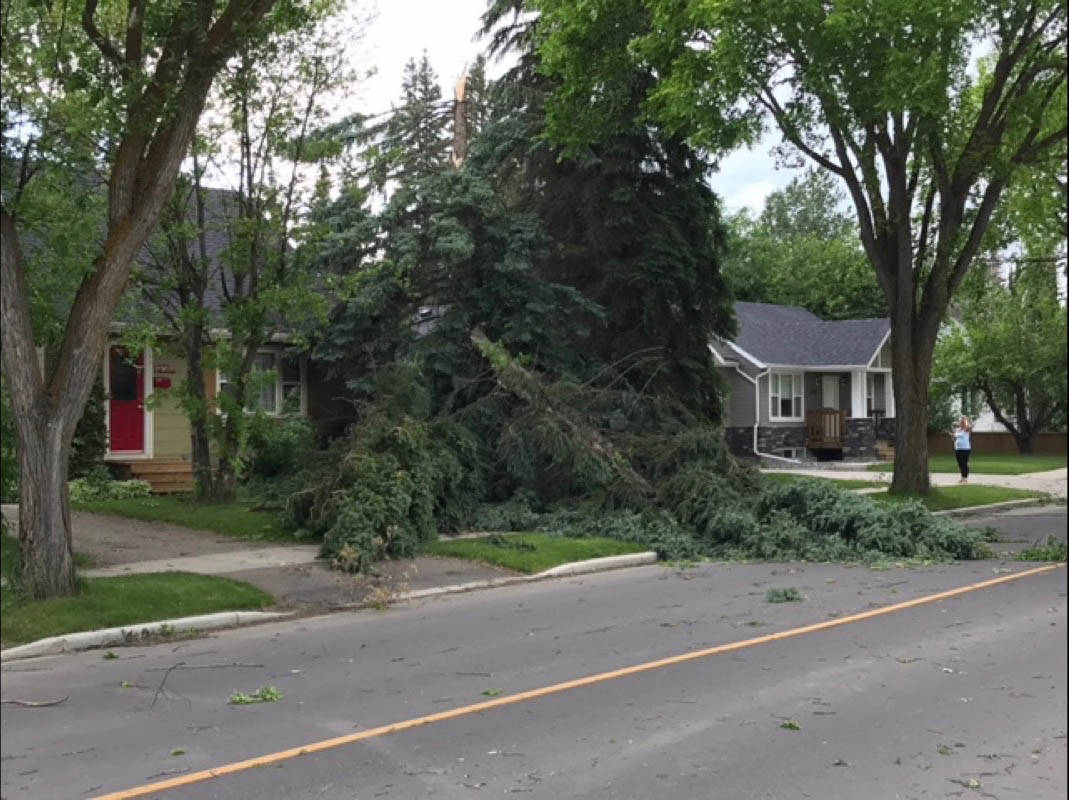 CLEAN UP - City crews continue to clean up the wreckage left by Tuesday’s storm. The City has said there are still 400 homes affected by power outages.                                Todd Colin Vaughan/Red Deer Express