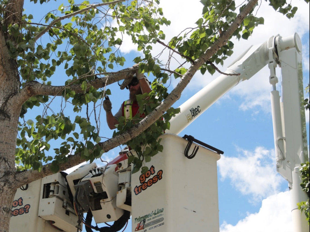 Power restoration nearing completion in Red Deer