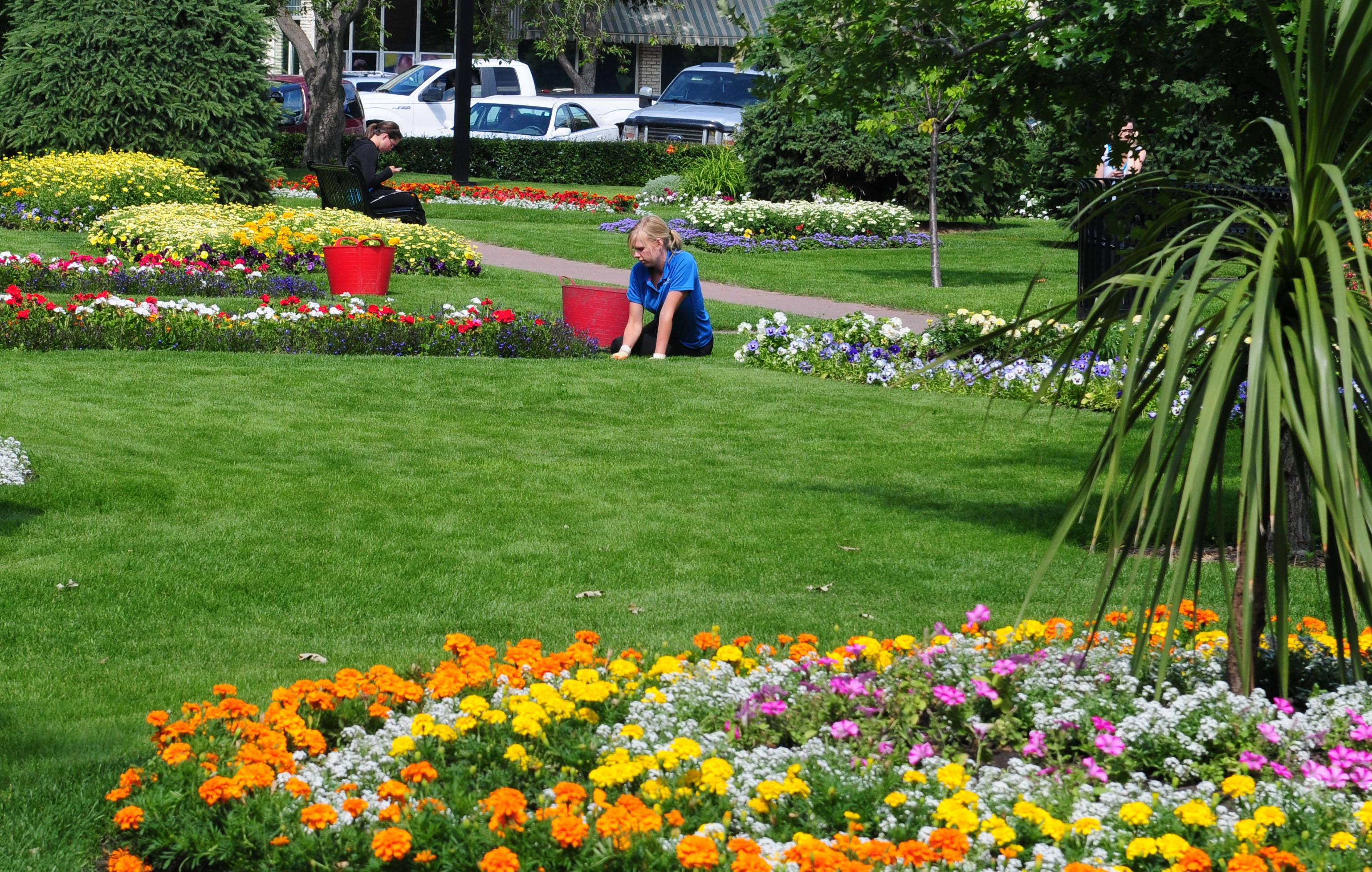VIBRANT- City Hall Park is in full bloom as students and City employees work to keep the park alive with colour.