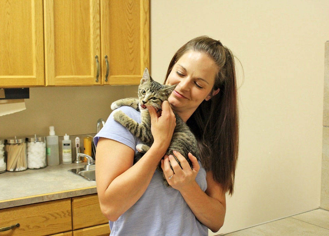 COMMUNITY PROGRAM - Amy Lockhart of Whisker Rescue cuddles with her foster kitten Jack. He is currently available for adoption. Carlie Connolly/Red Deer Express